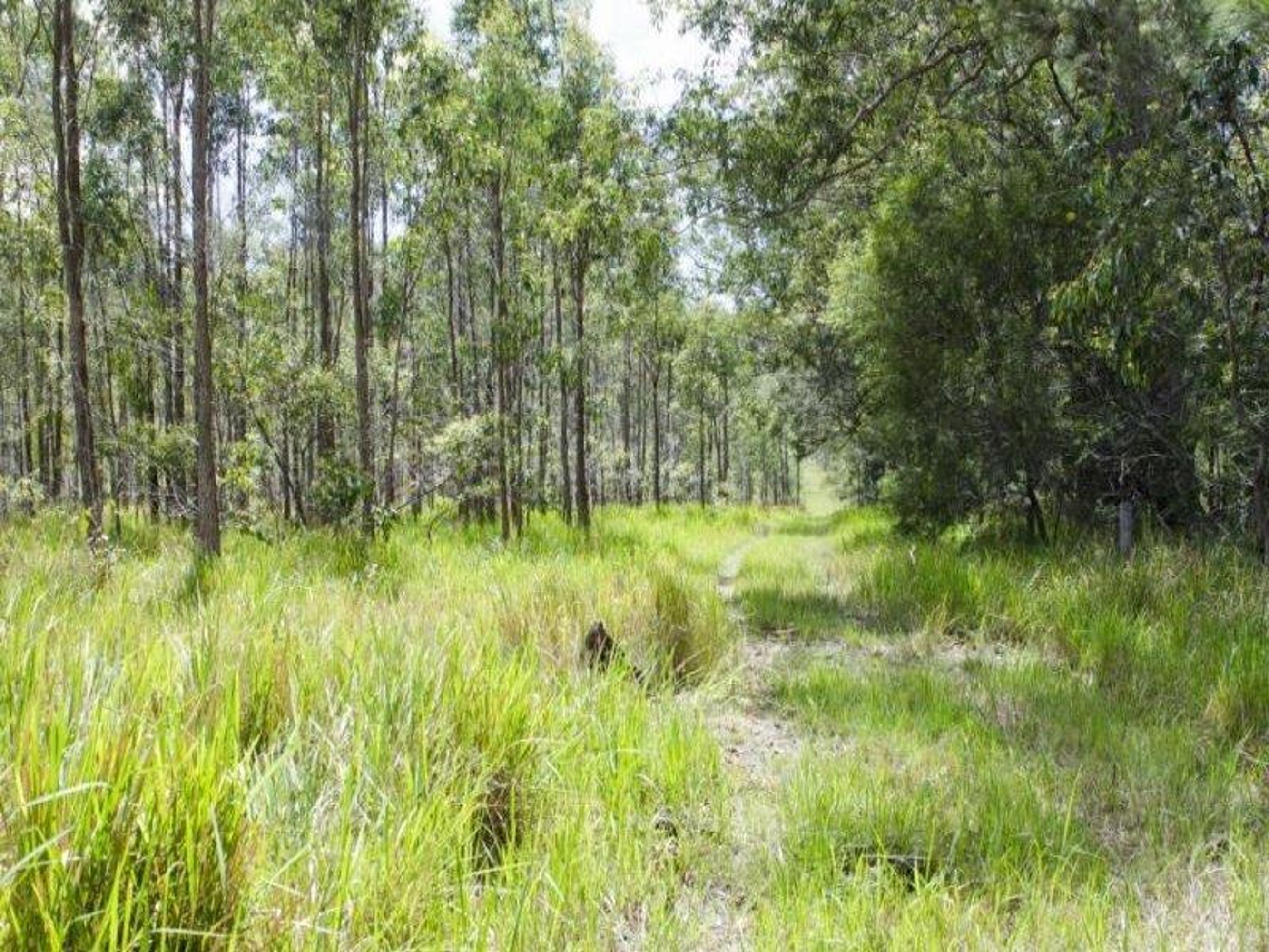 Lot 980 Firth Heinz Road, Pillar Valley - Thumbnail 7