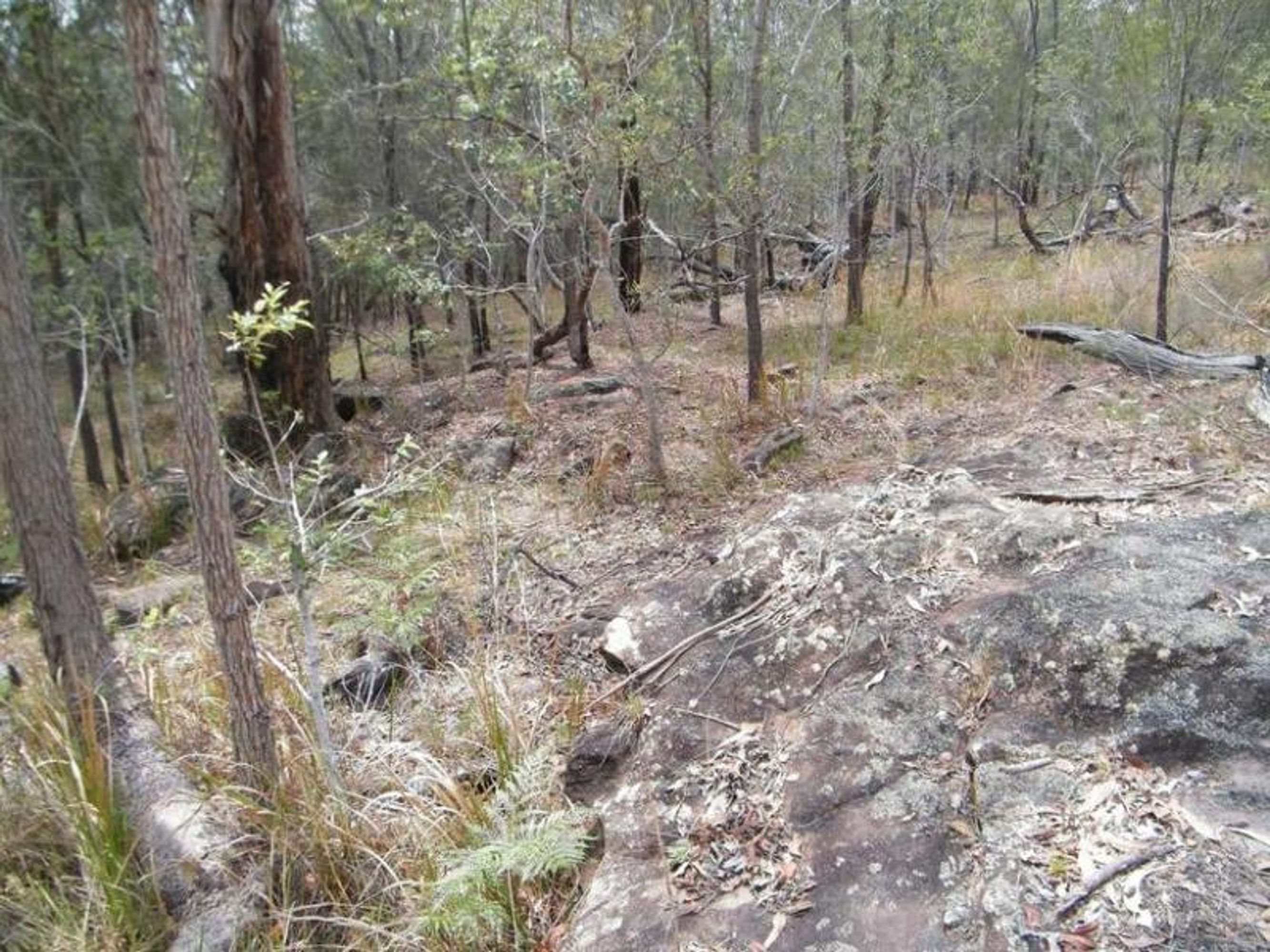 335/335/Lot 335, 450 Greberts Road, Whiteman Creek - Thumbnail 6