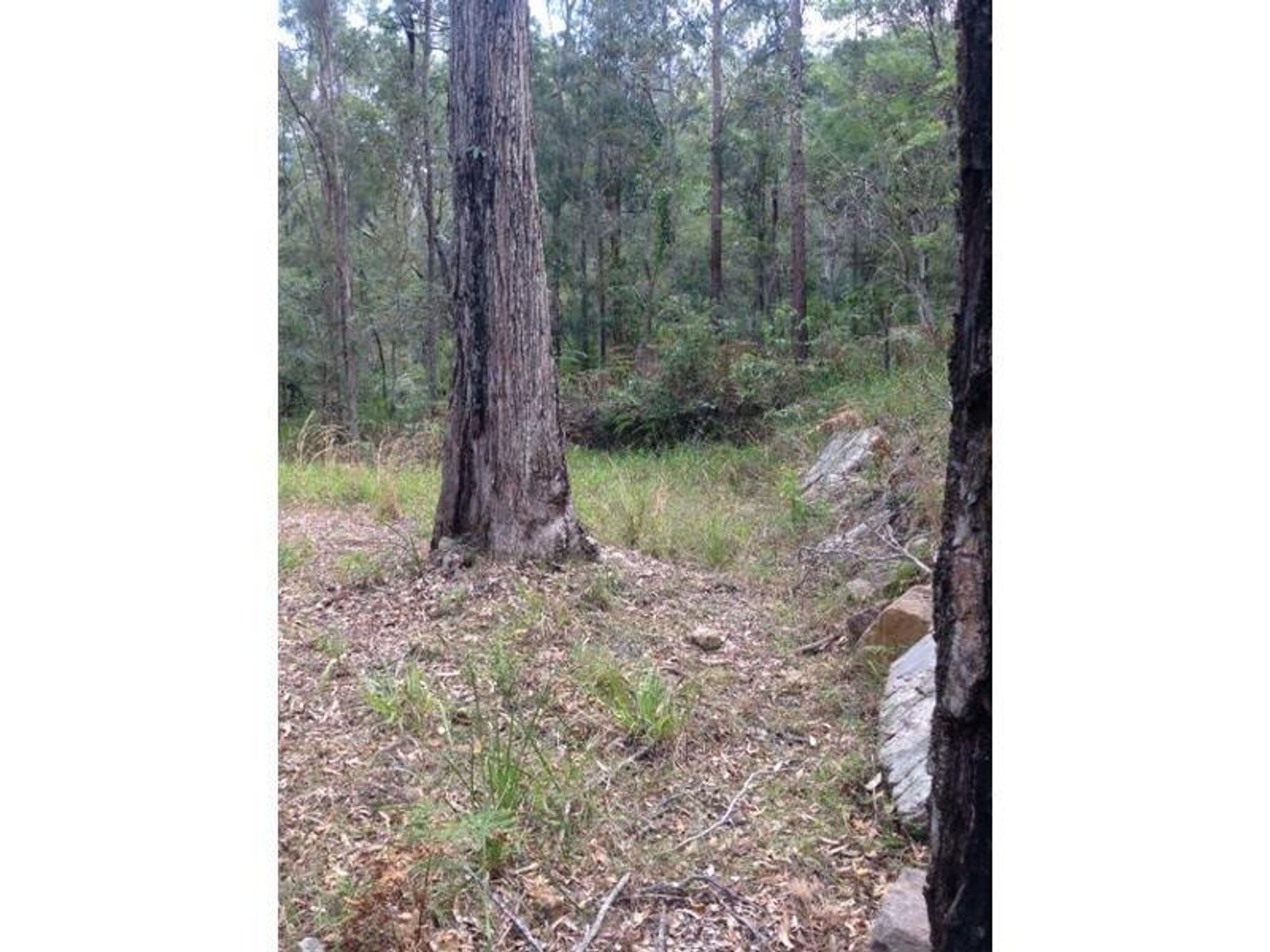 970 Kungala Road, Lanitza - Thumbnail 5
