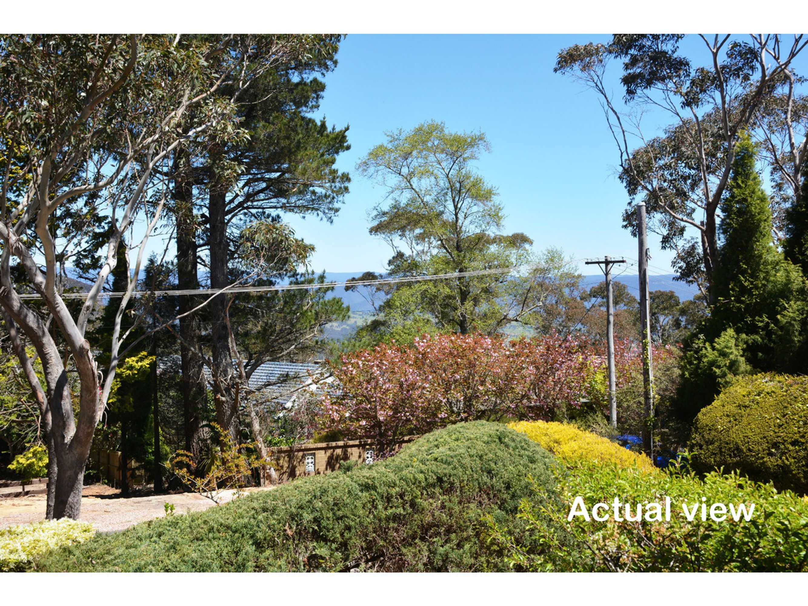 53-55 Cedar Street, Katoomba - Thumbnail 2