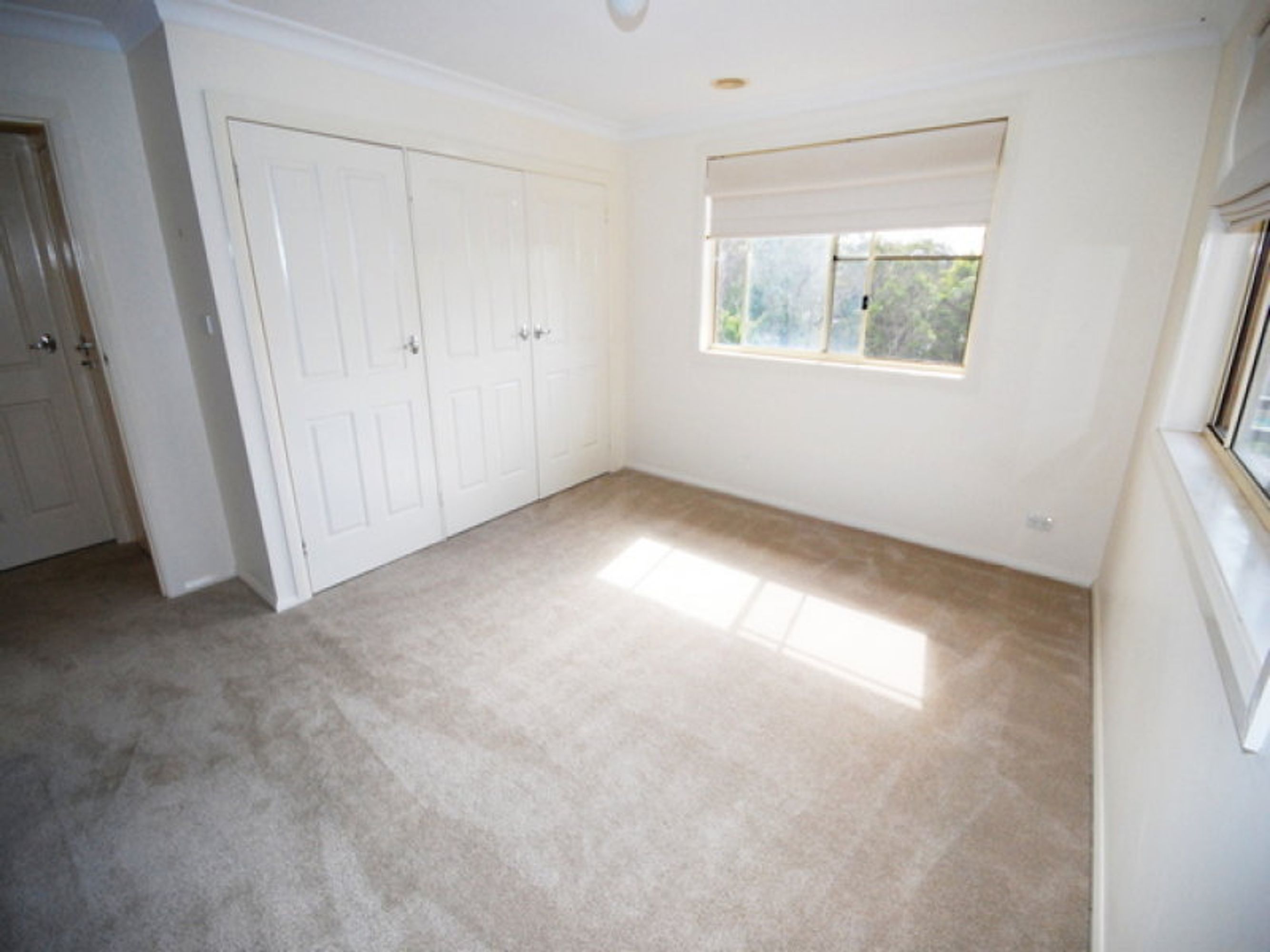 167 Narrow Neck Road, Katoomba - Thumbnail 4