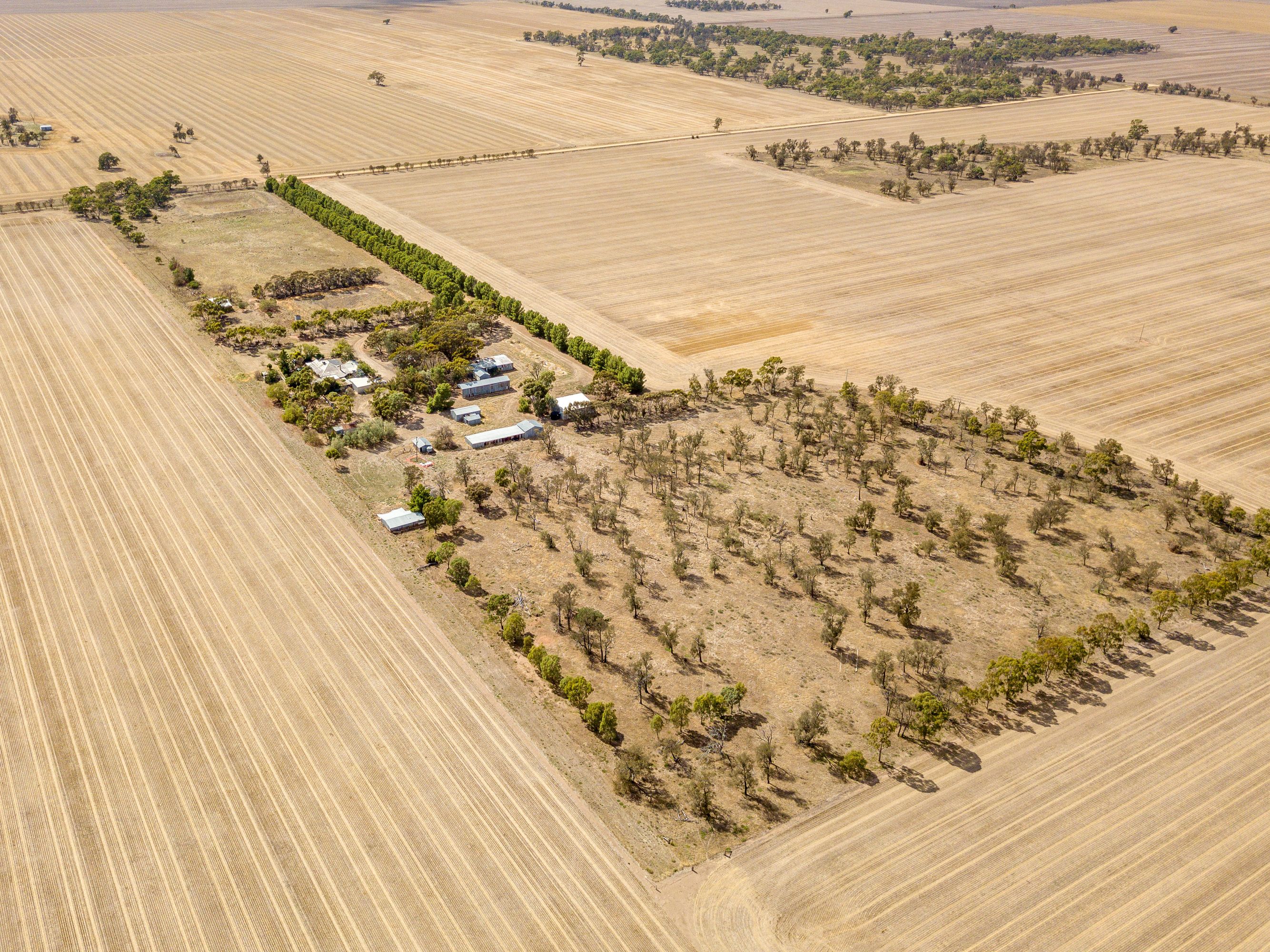 113 Hills Road, Kewell VIC 3390, Kewell - Thumbnail 4