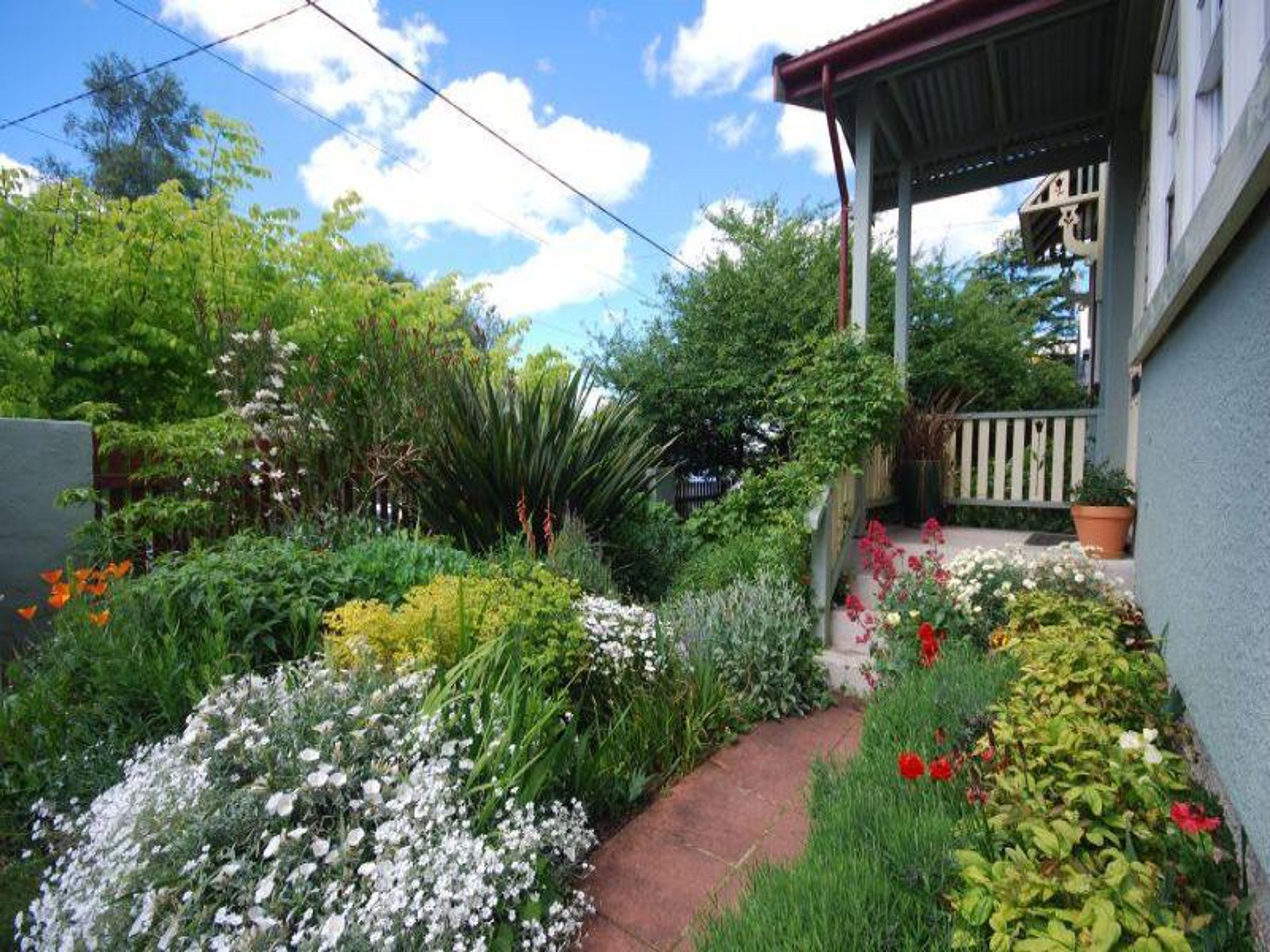 33 Clissold St, Katoomba - Thumbnail 6