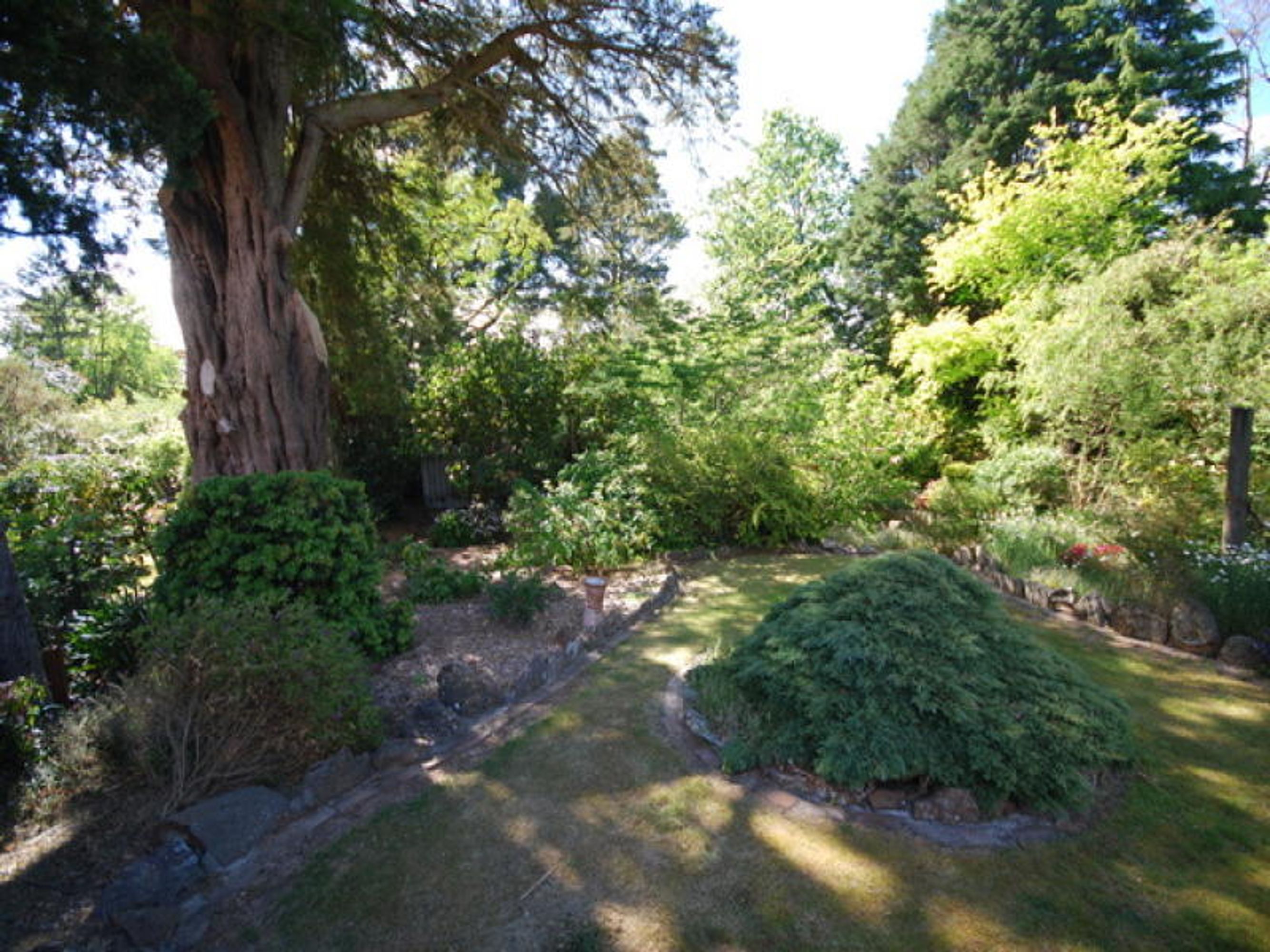 50 Pritchard Street, Wentworth Falls - Thumbnail 6
