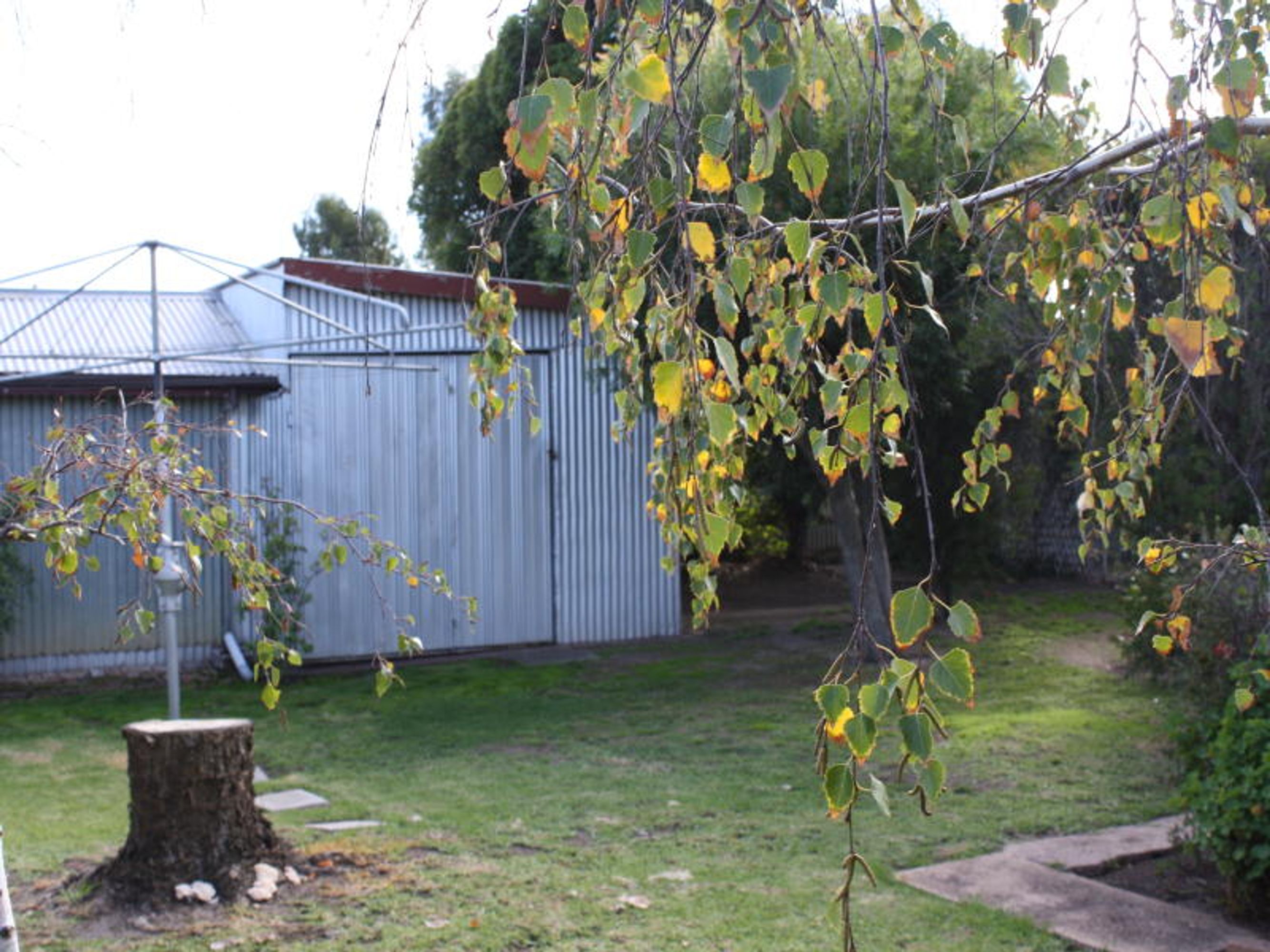 20 River Road, Horsham VIC 3400, Horsham - Thumbnail 3
