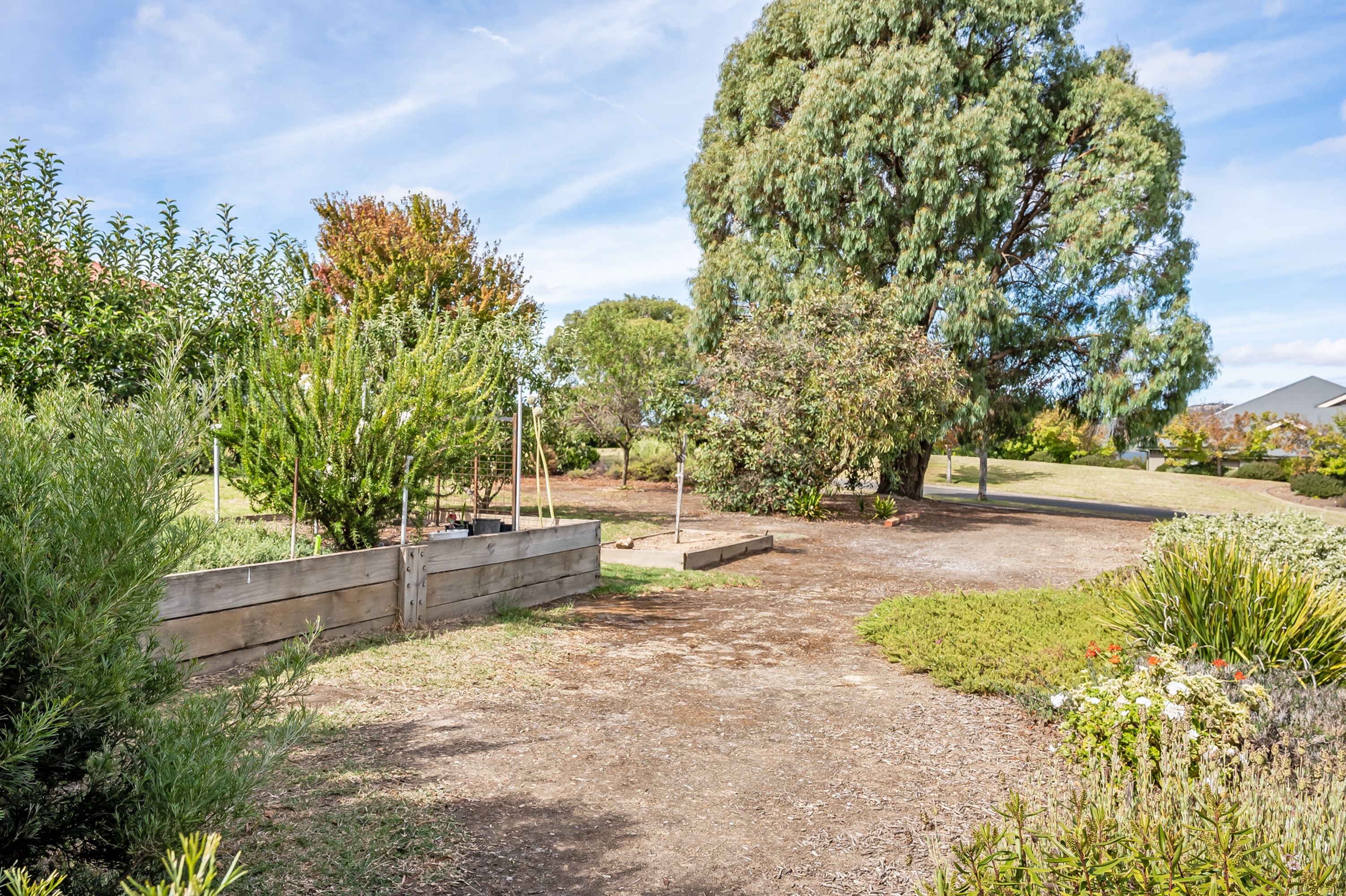 25 Dalmeny Drive, Mount Barker SA 5251, Mount Barker - Thumbnail 6