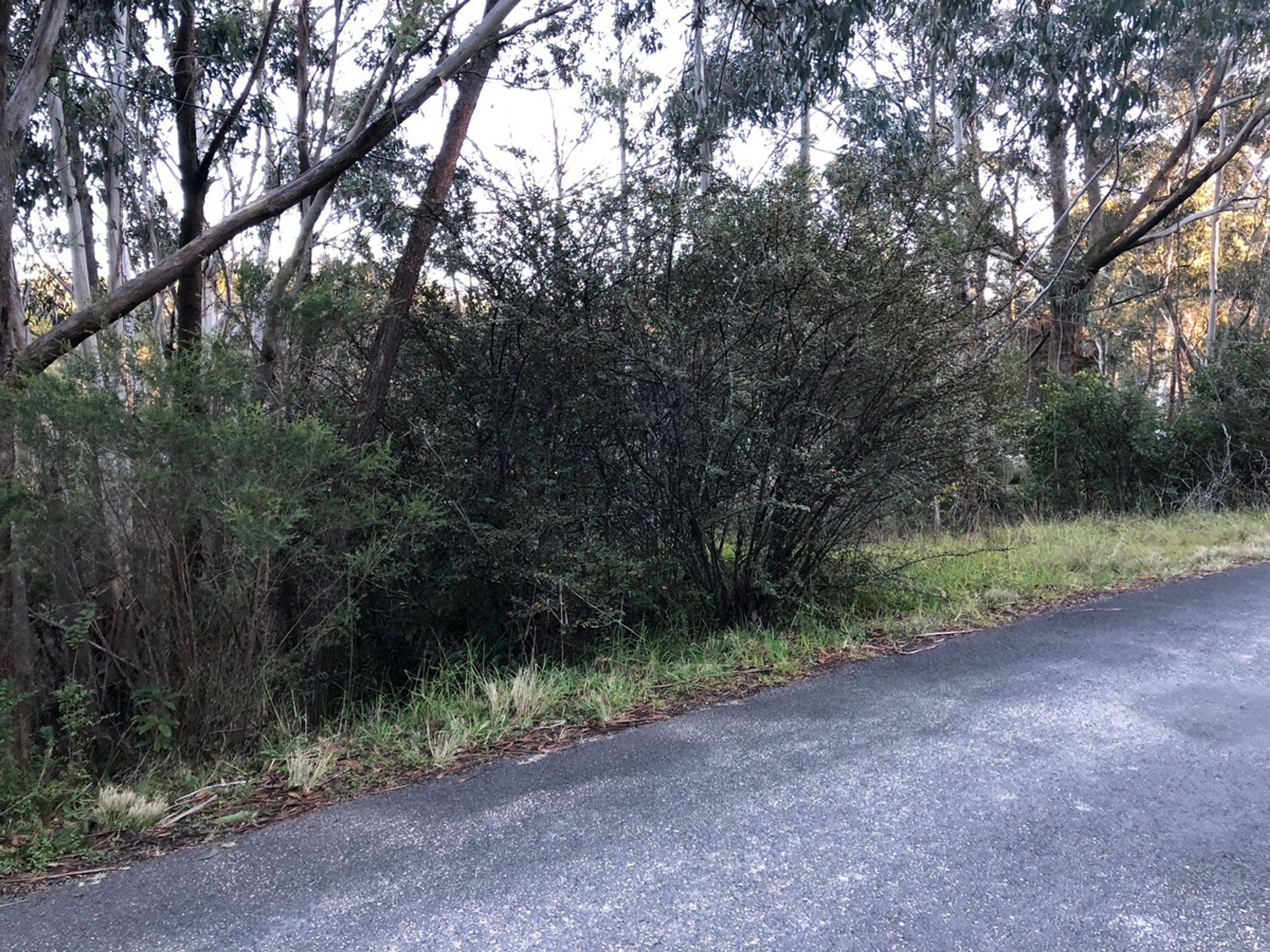 86 Govett Street, Katoomba - Thumbnail 4