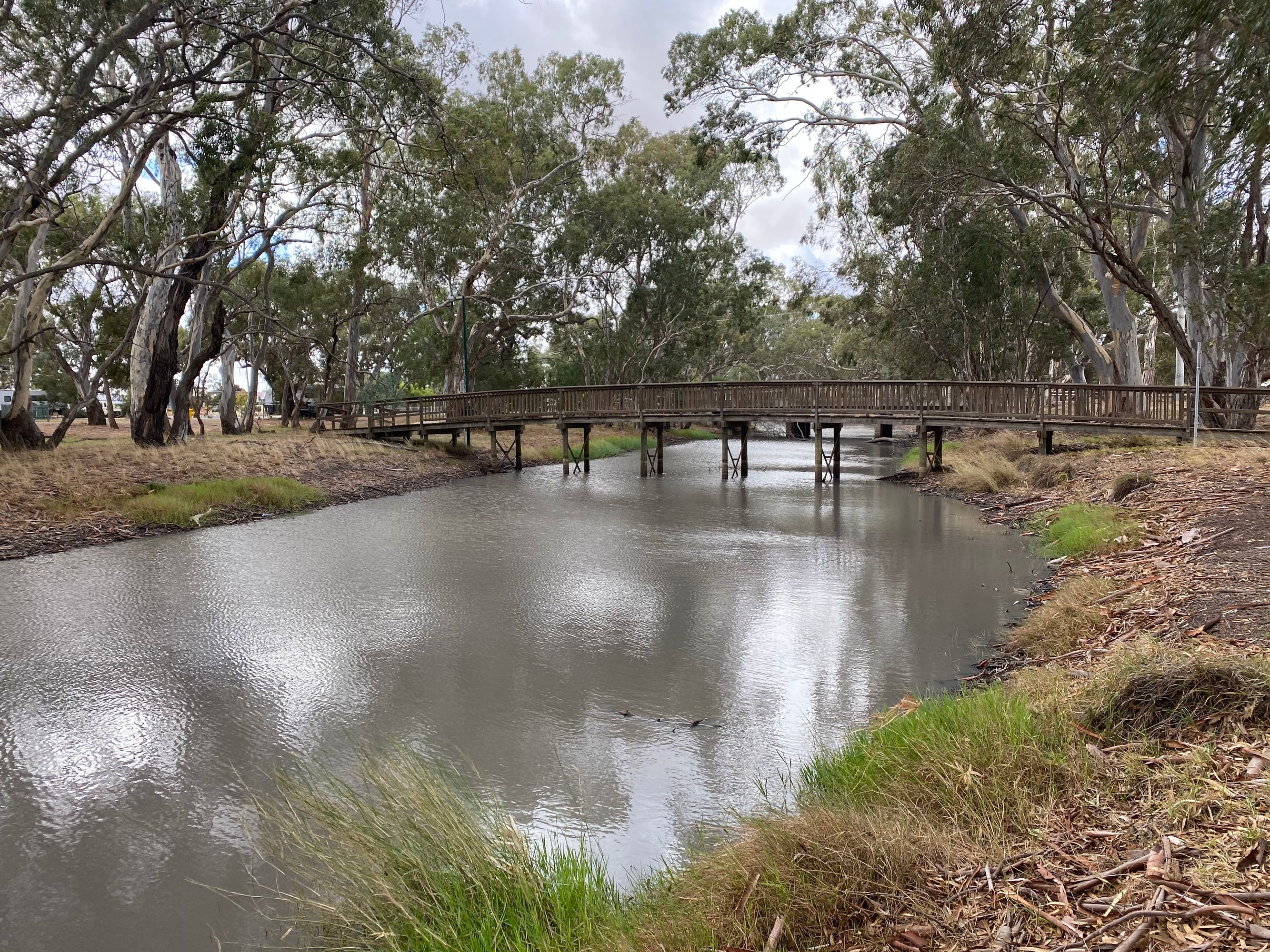 17 Cox Street, Warracknabeal VIC 3393, Warracknabeal - Thumbnail 4