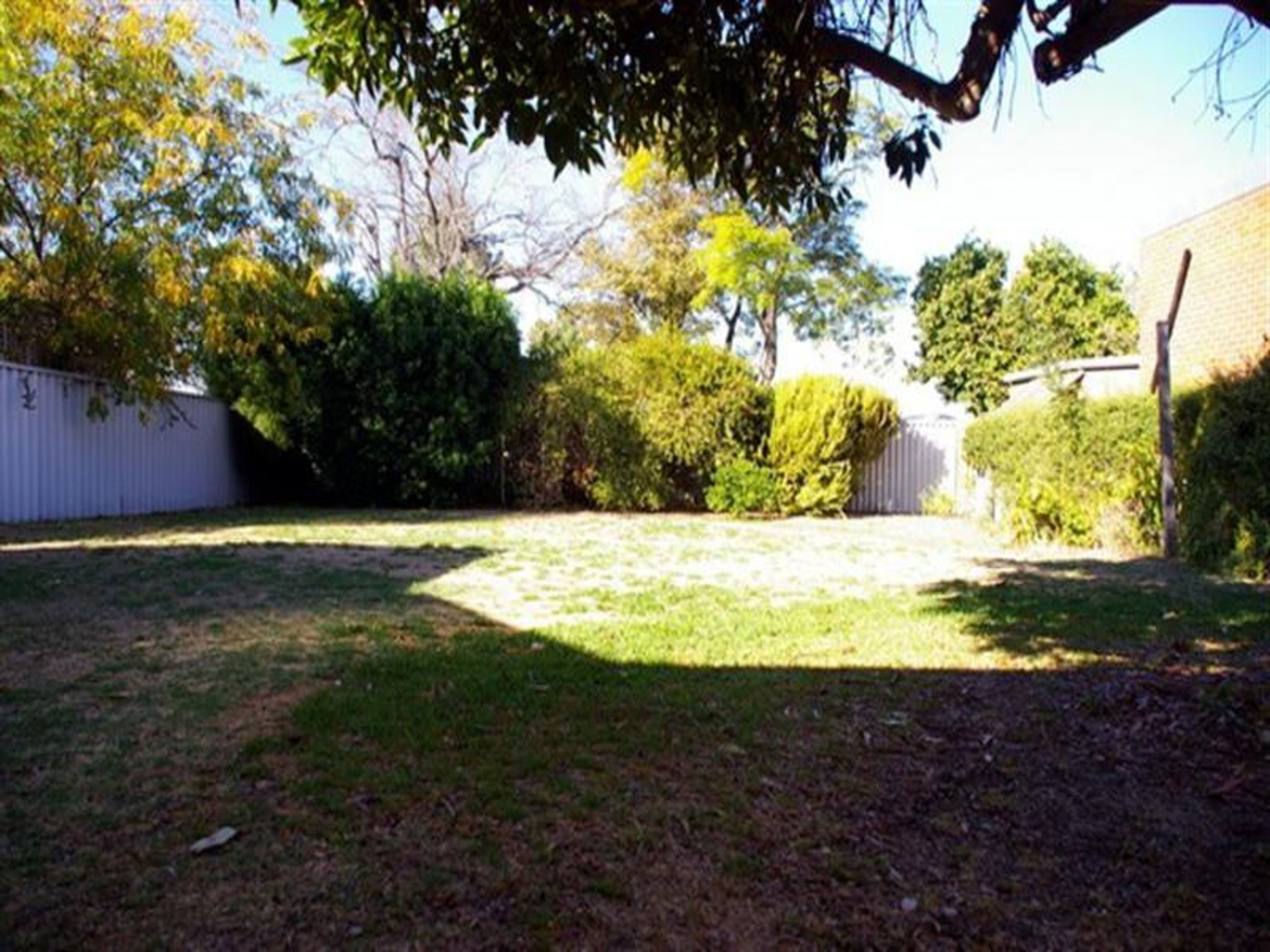 64 Daglish Street, Wembley, WA 6014, Wembley - Thumbnail 6
