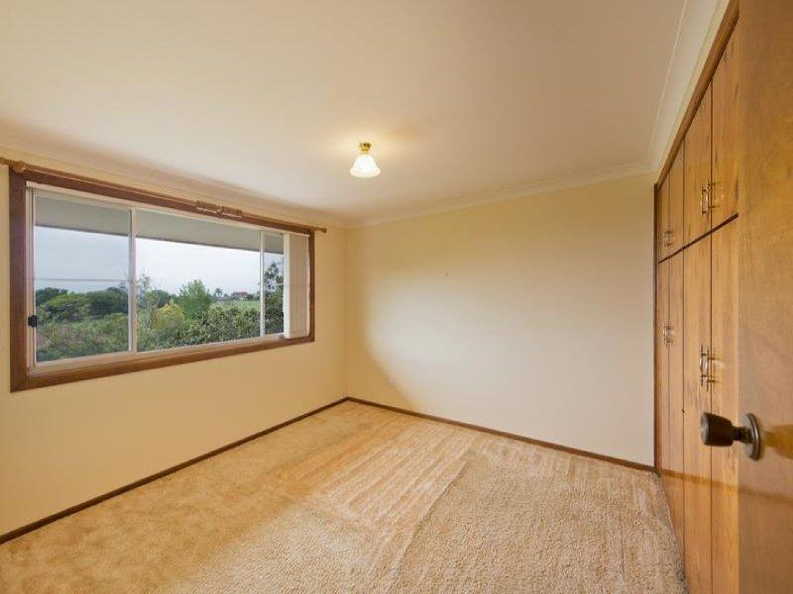 13 Aquarius Drive, Junction Hill - Thumbnail 8