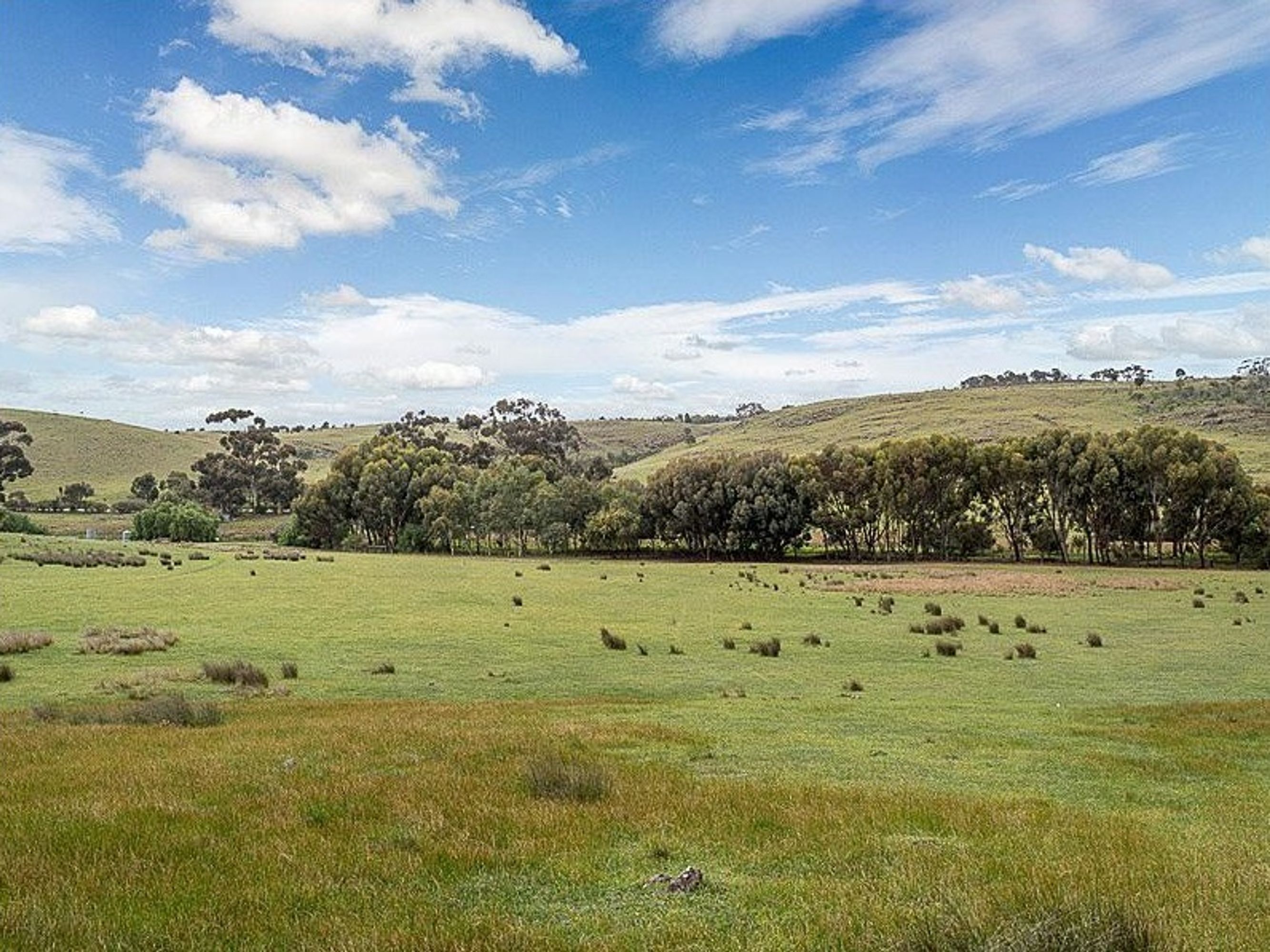547 Bondleigh Road, Rockleigh, SA 5254, Rockleigh - Thumbnail 3