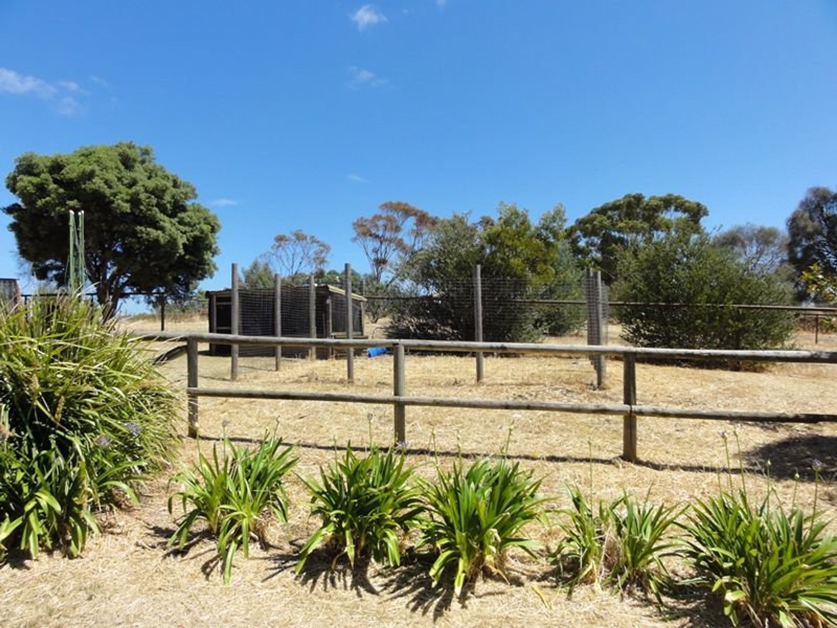 403 Forbidden, Strathalbyn - Thumbnail 7