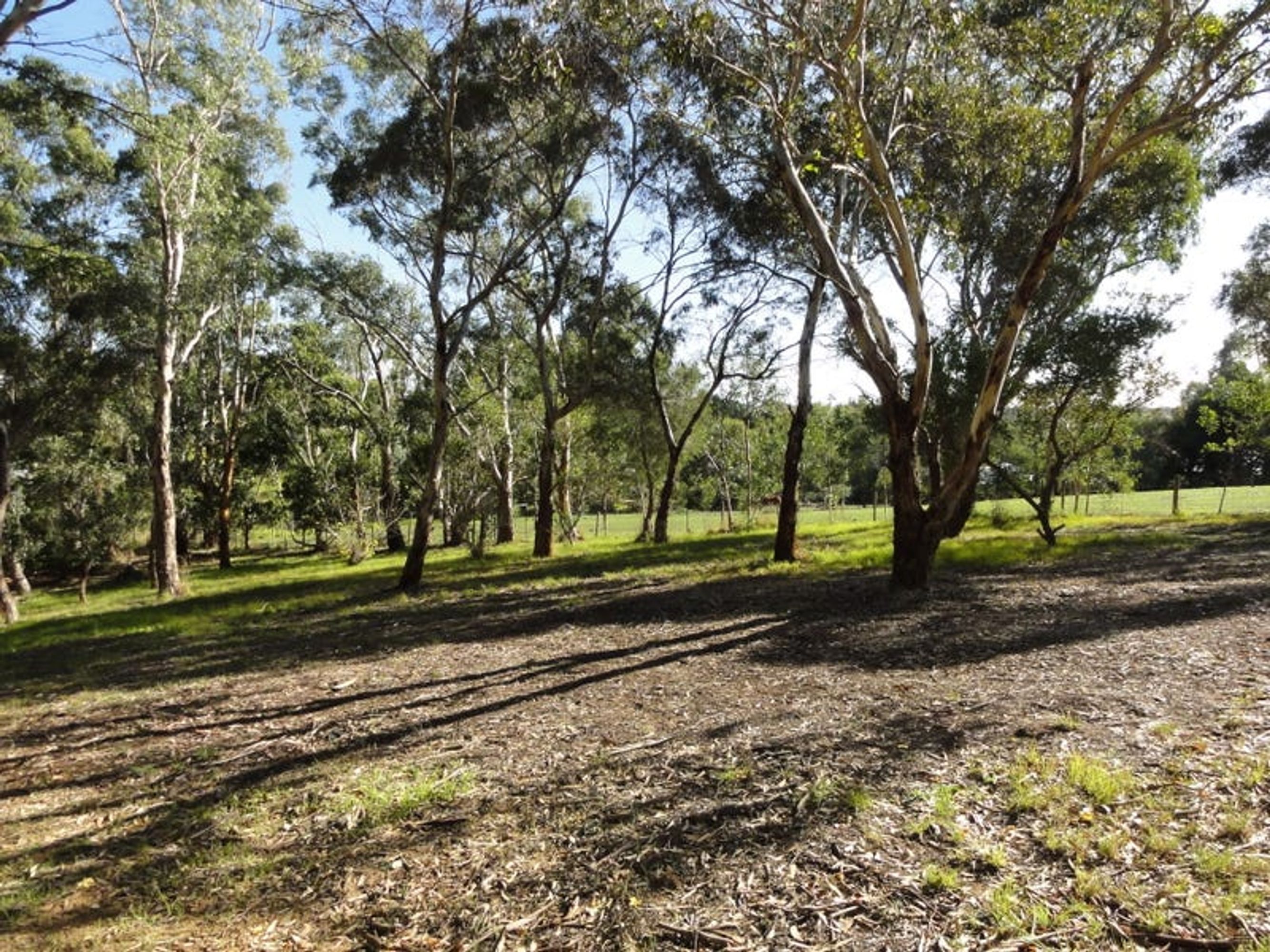 28 Marianna Street, Echunga, SA 5153, Echunga - Thumbnail 4