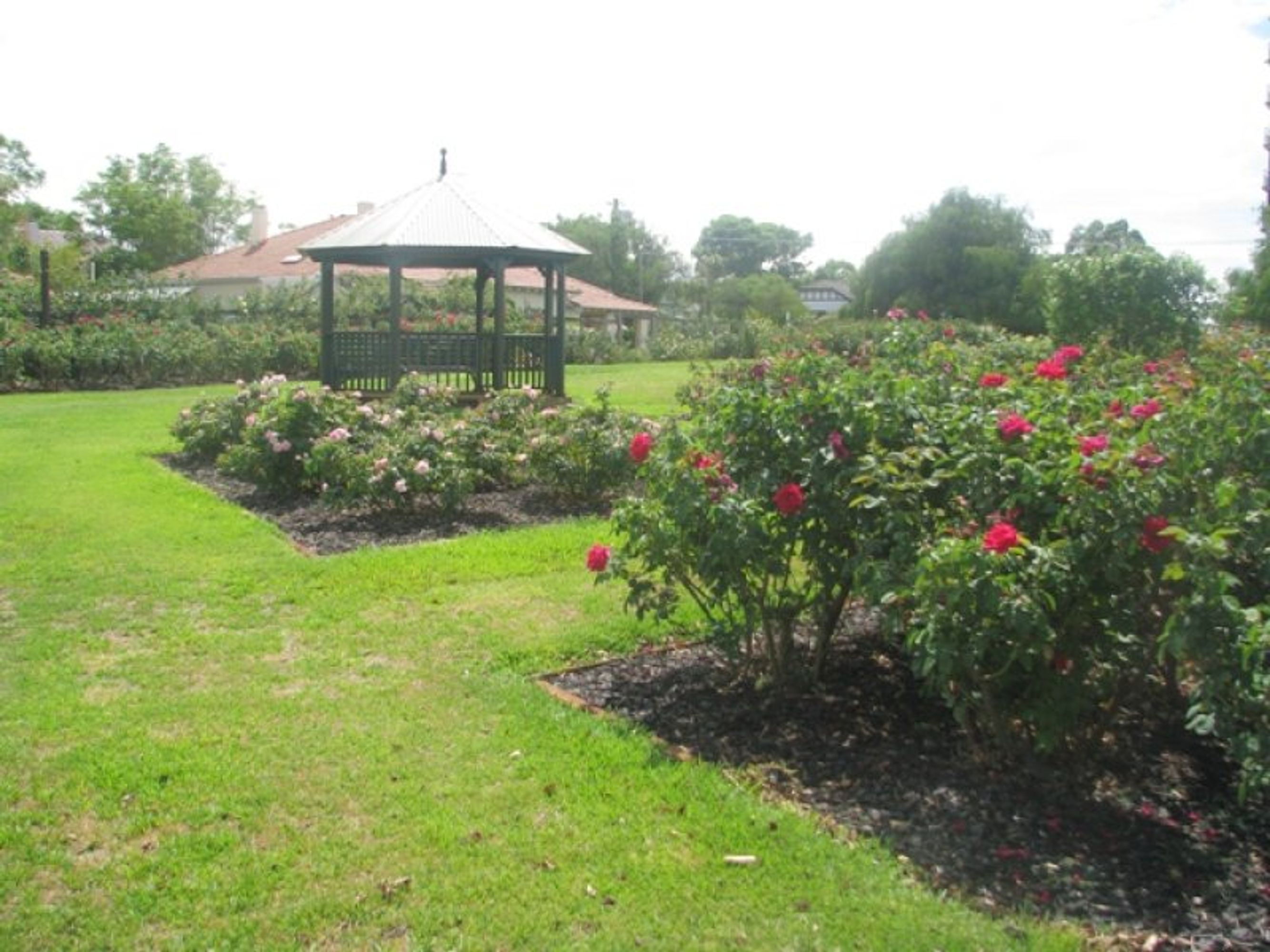 1/403 Cambridge Street, Wembley, WA 6014, Wembley - Thumbnail 7