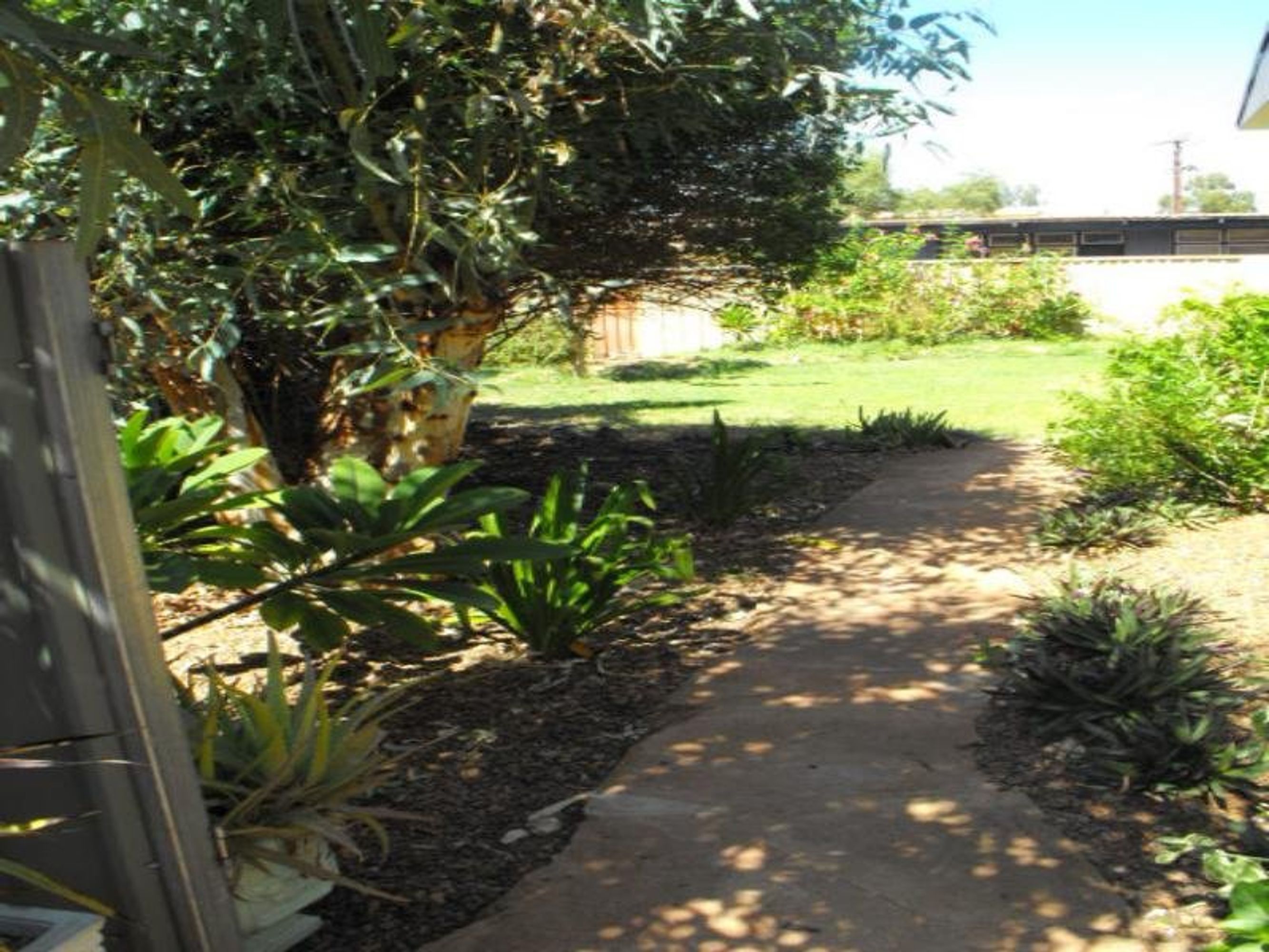 16 Greene Place, South Hedland, South Hedland - Thumbnail 4