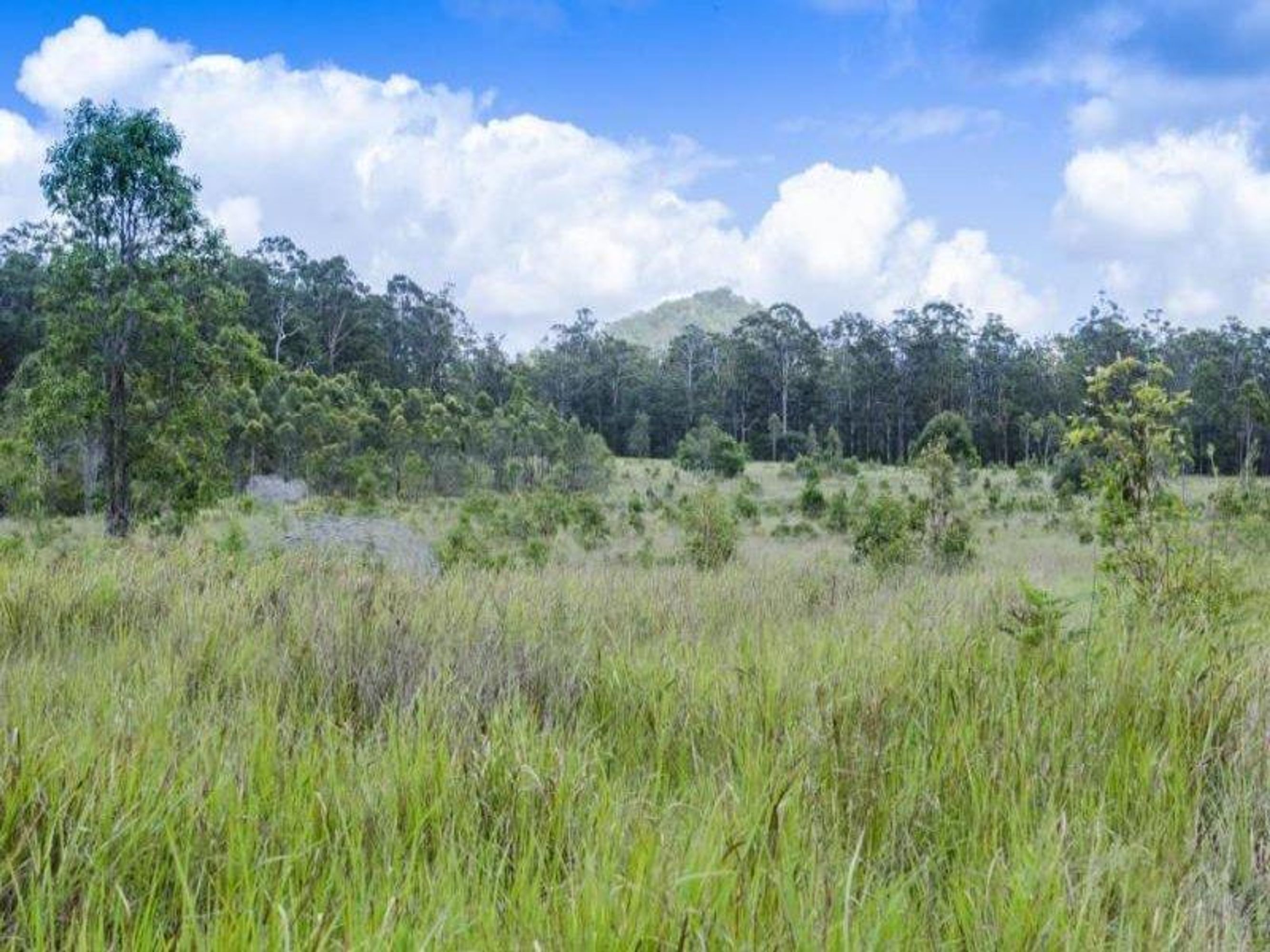 Lot 980 Firth Heinz Road, Pillar Valley - Thumbnail 4