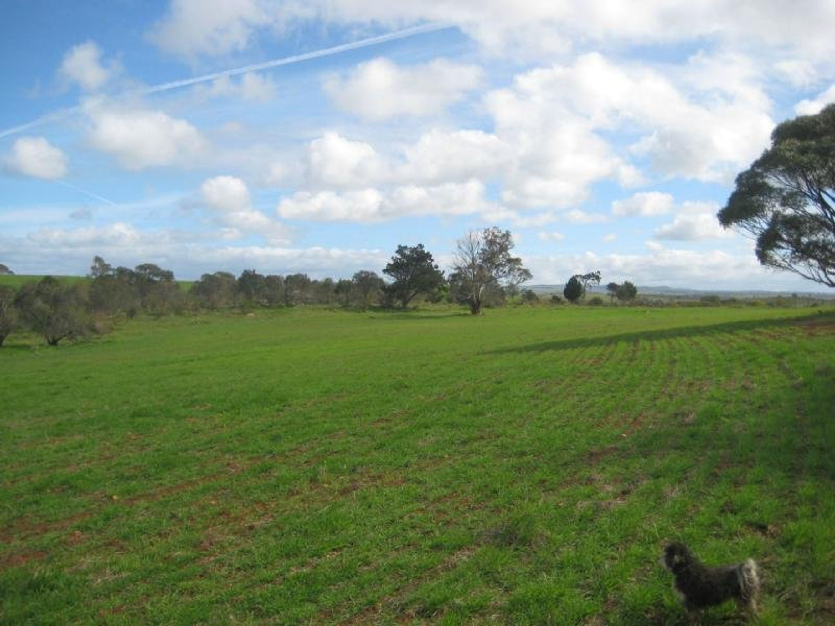 Lot 96 Anders Road, Rockleigh, SA 5254, Rockleigh - Thumbnail 4