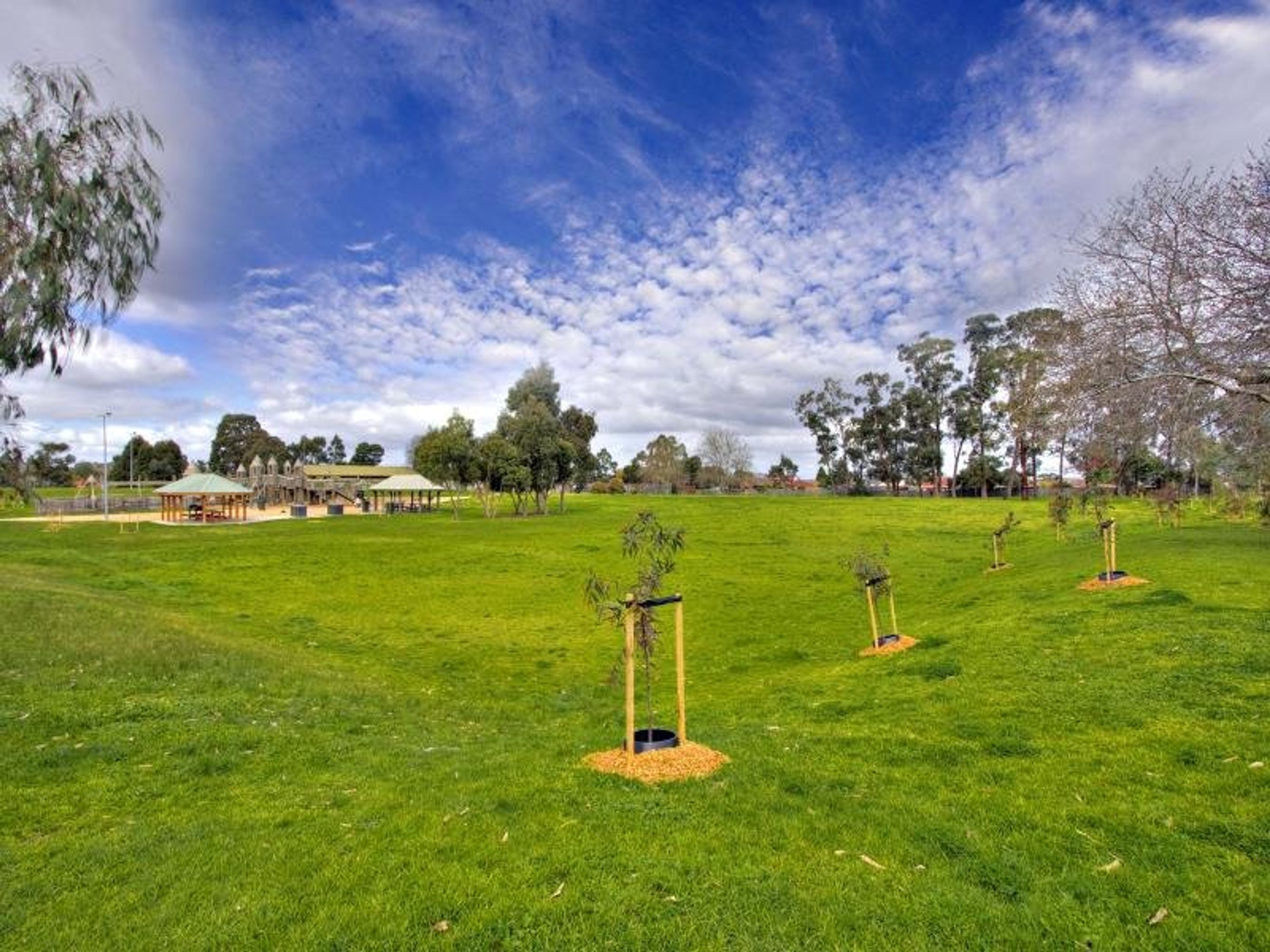 16 Spring Road, Springvale South - Thumbnail 4
