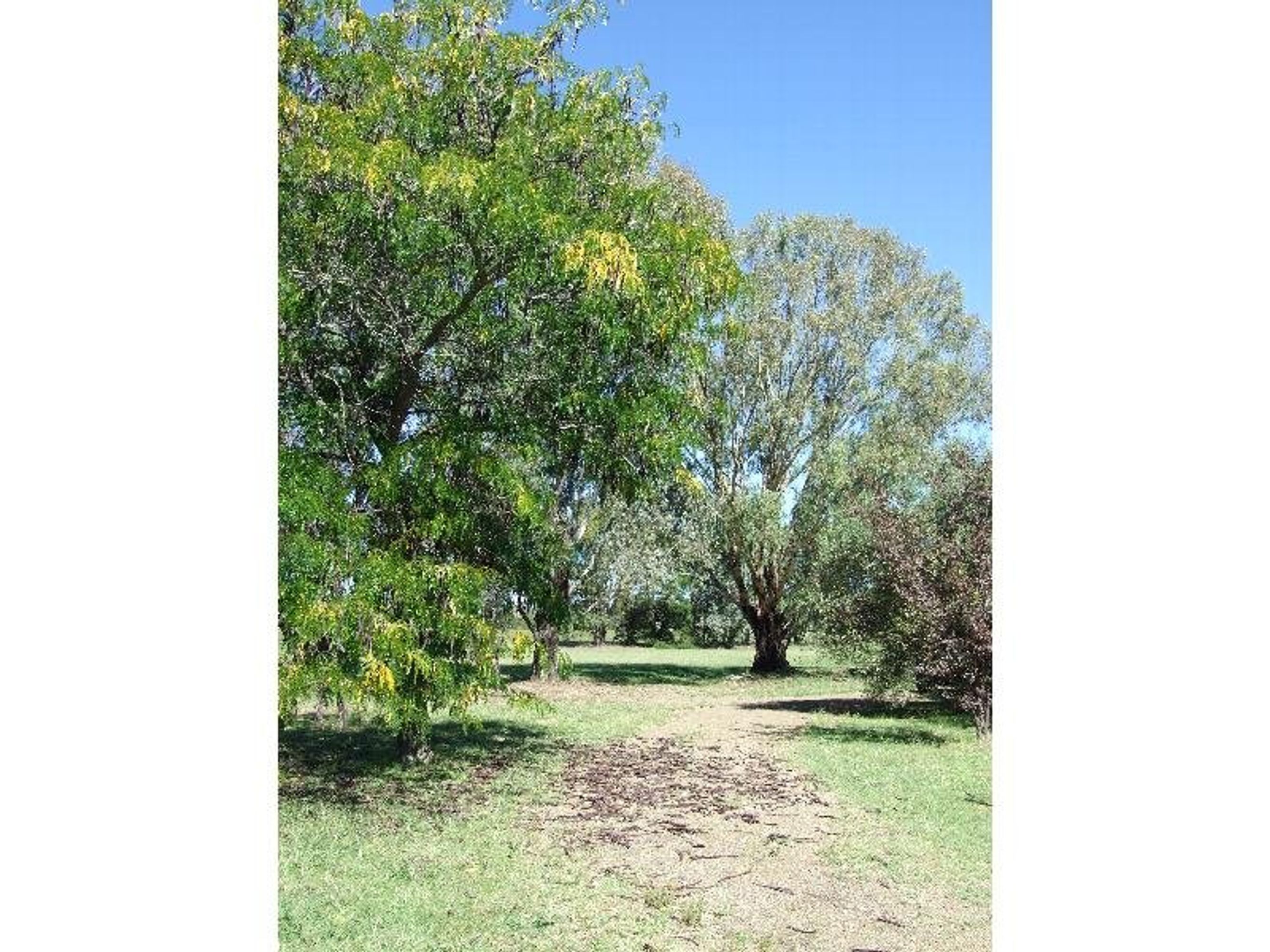 wangaratta, Wangaratta - Thumbnail 2
