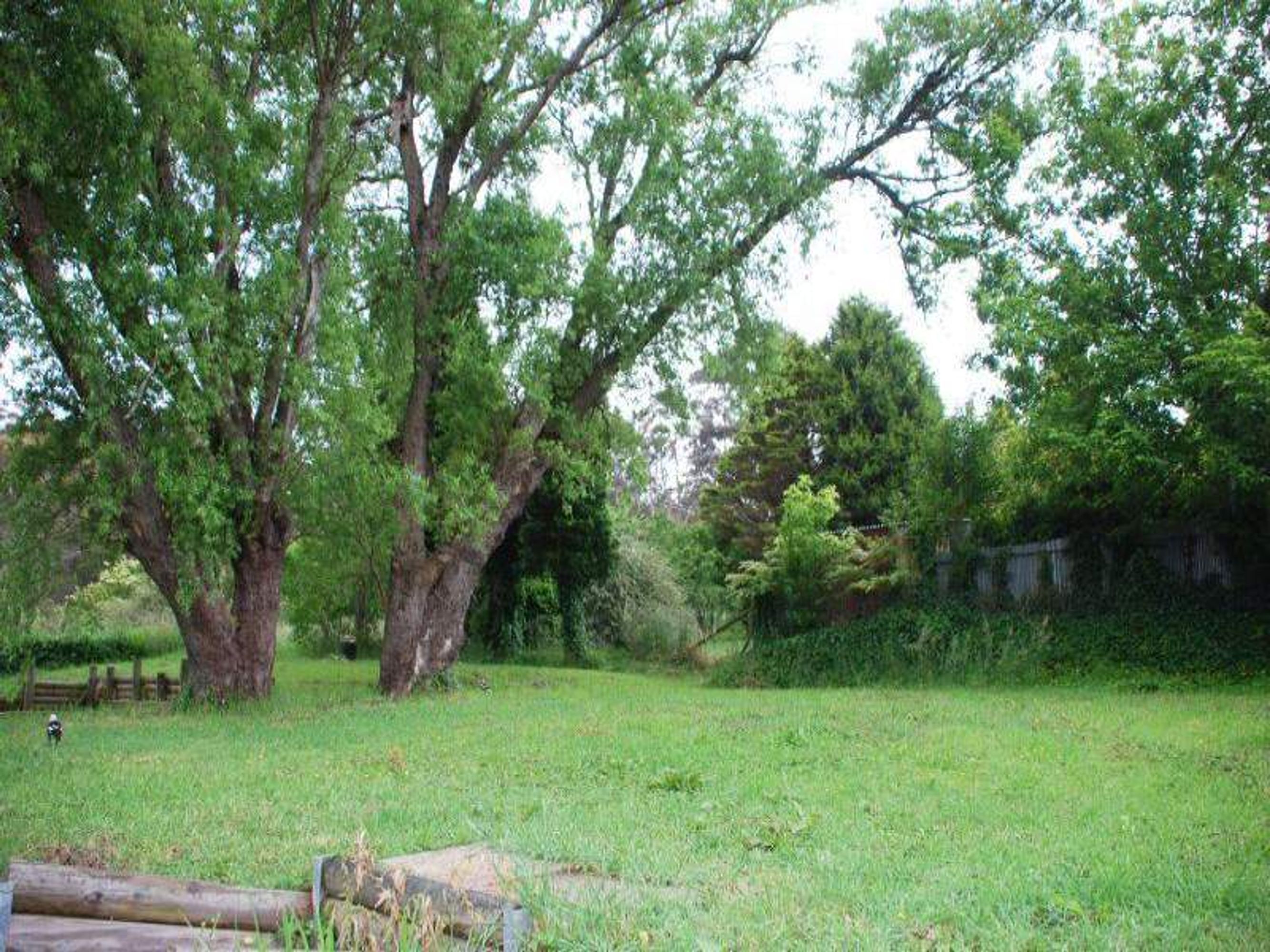15 Garden St, Katoomba - Thumbnail 3