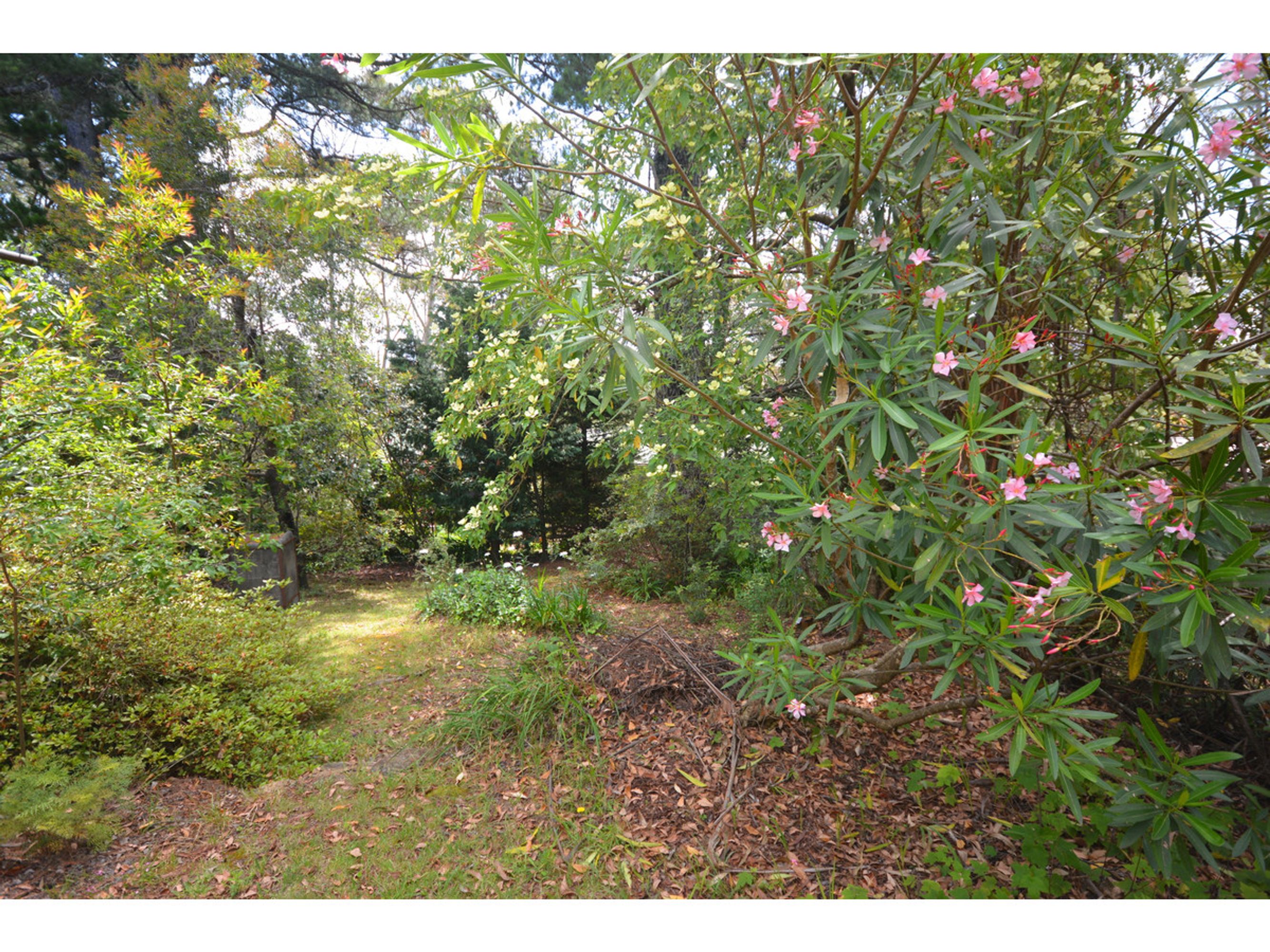 55 Loftus Street, Katoomba - Thumbnail 8