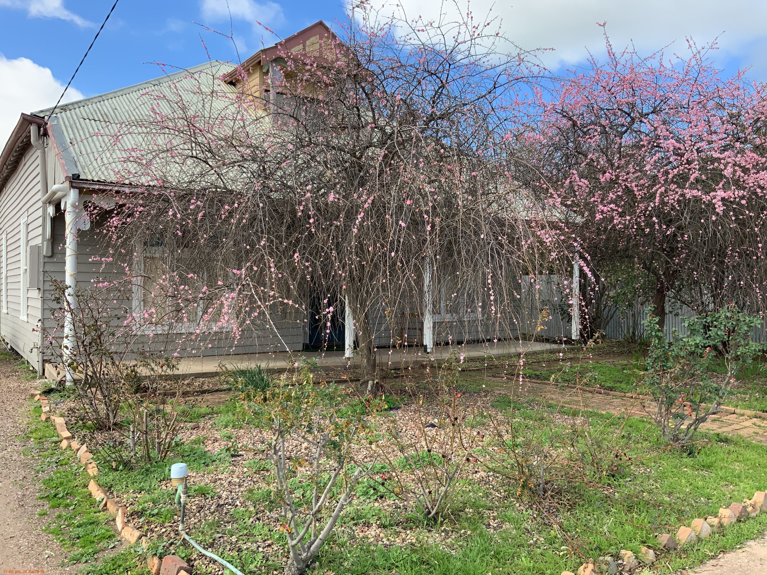 30 David Street, Horsham VIC 3400