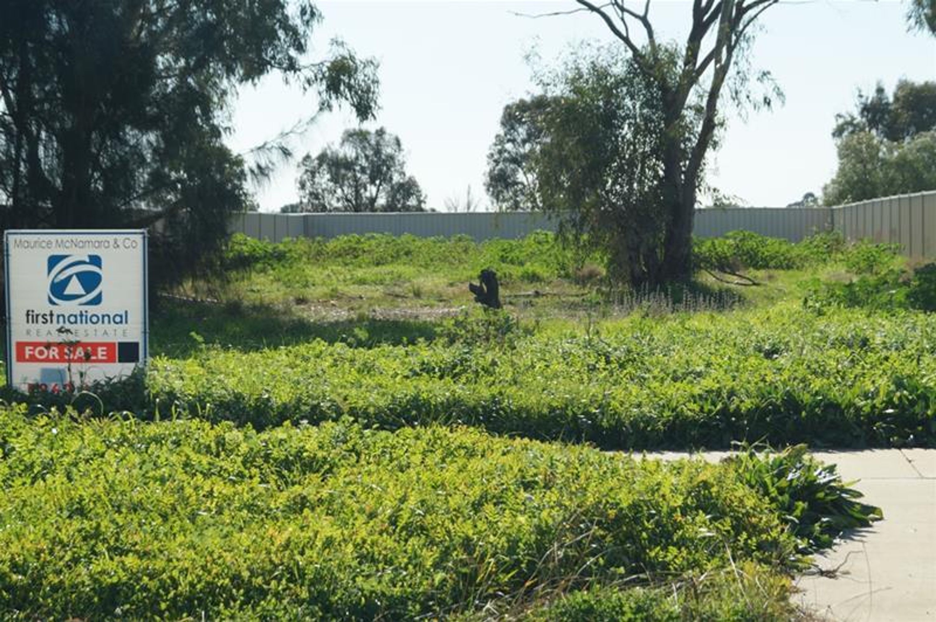 62 Wattle Drive, Numurkah - Thumbnail 4