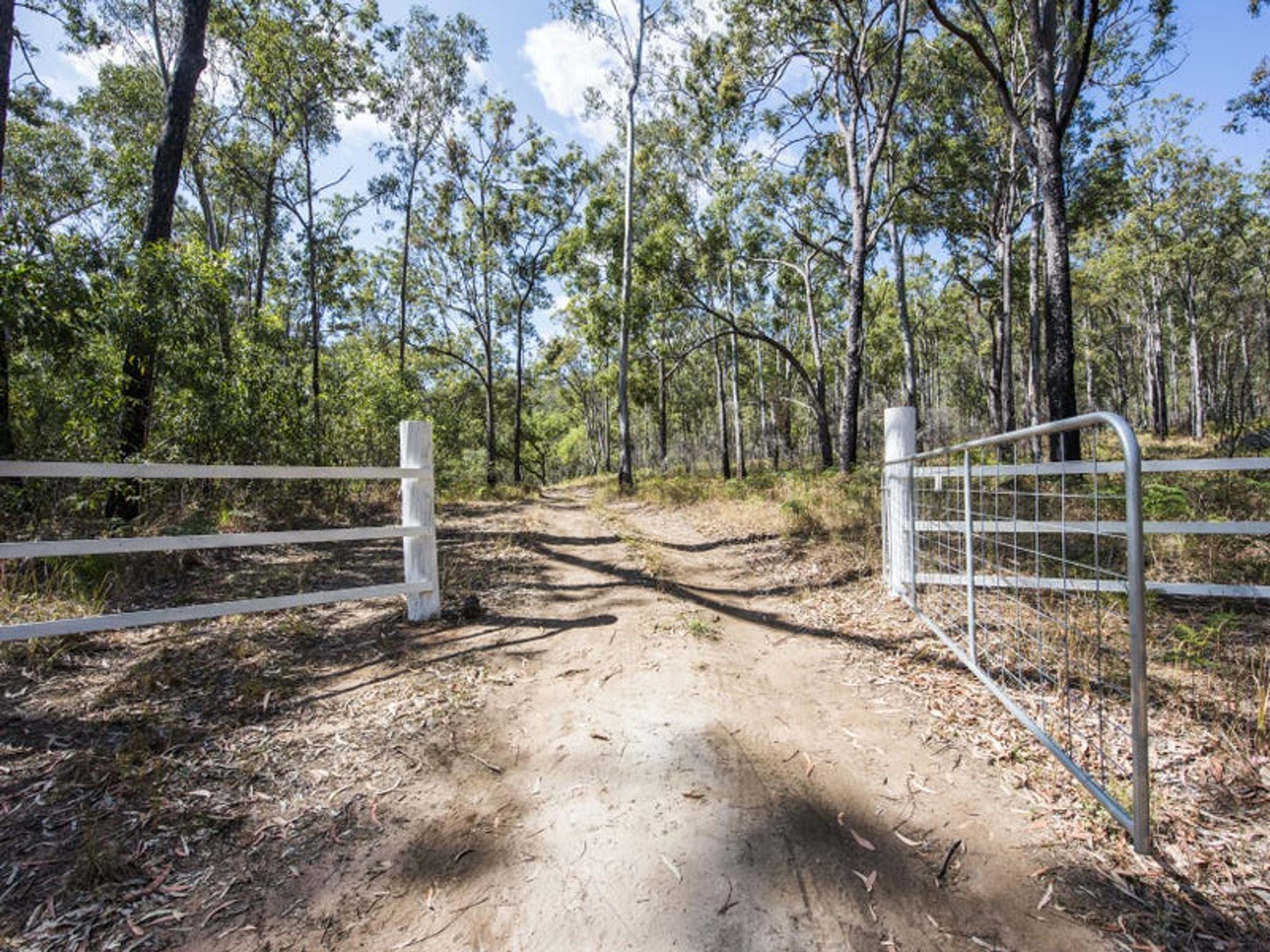 243 Armidale Road, Blaxlands Creek - Thumbnail 3