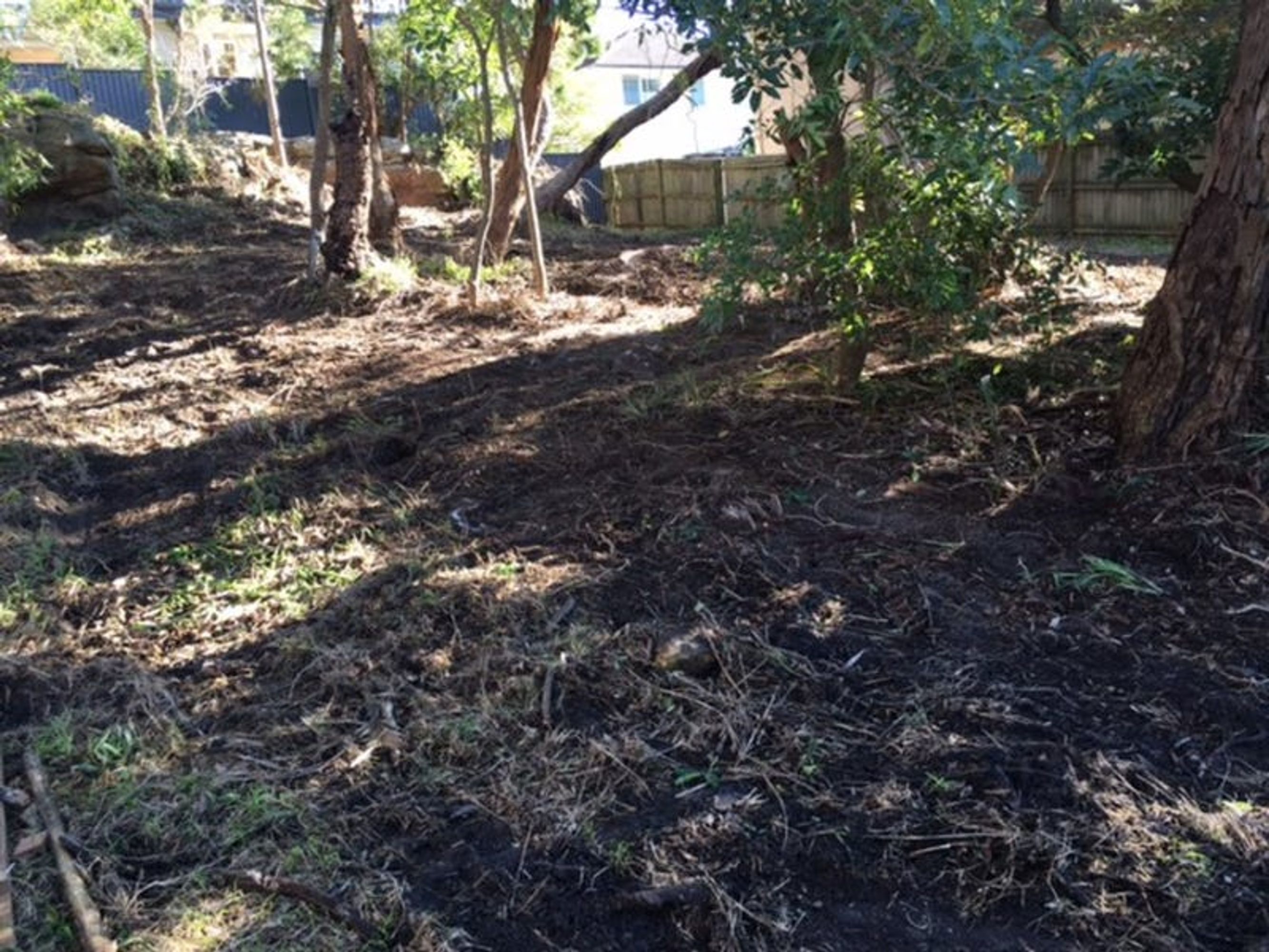 9A Yarran Road, Oatley, Oatley - Thumbnail 4