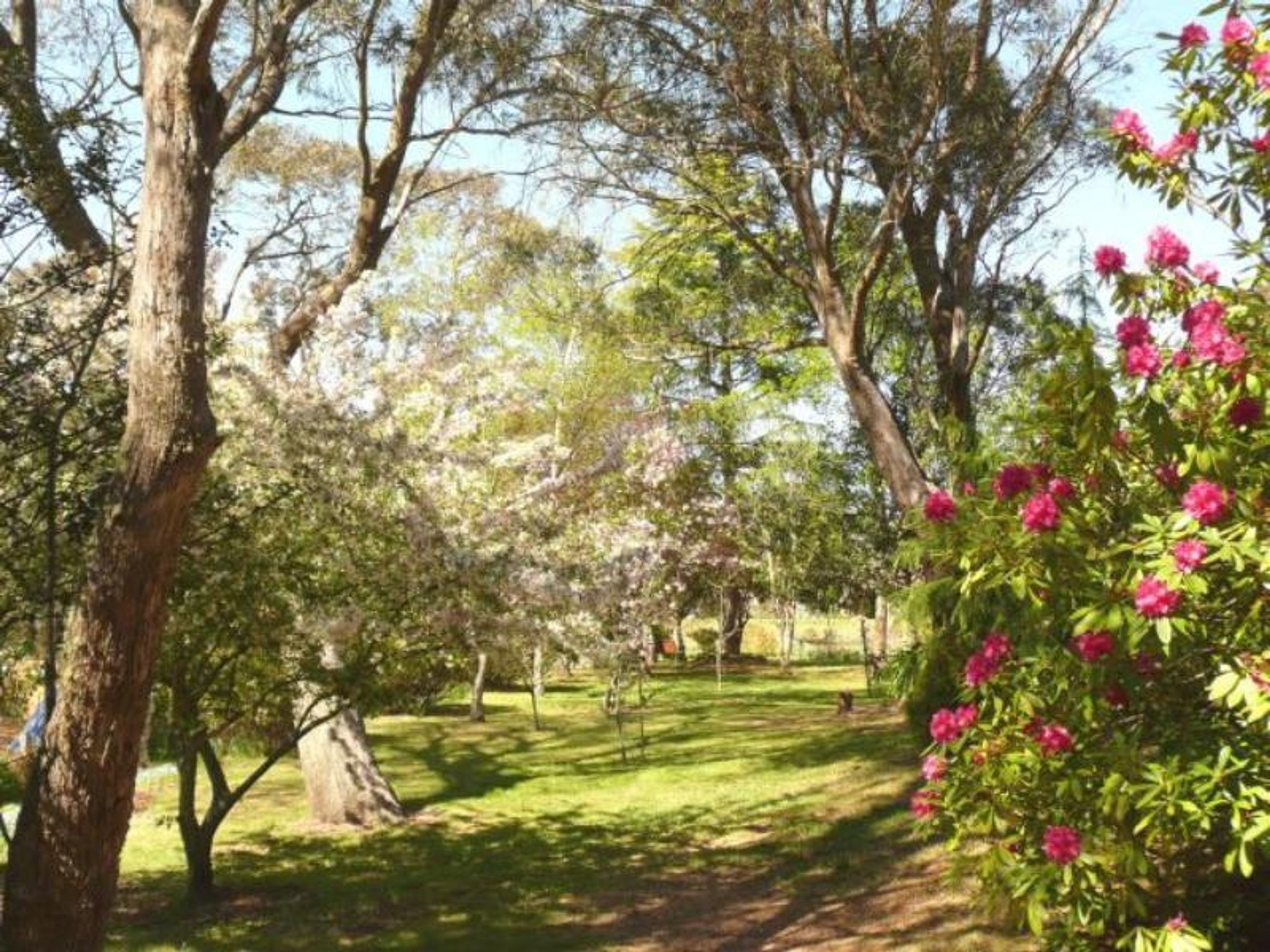 93 Twynam St, Katoomba - Thumbnail 3