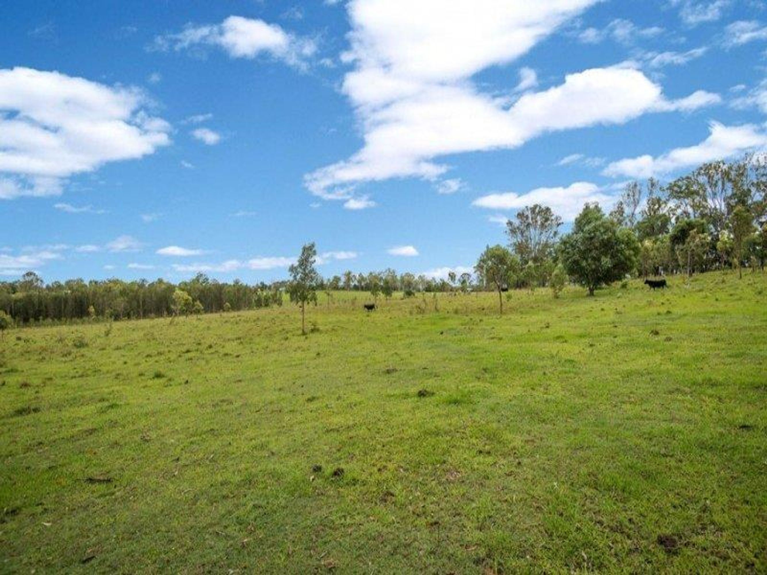 Lot 2 Summerland Way, Mountain View - Thumbnail 6
