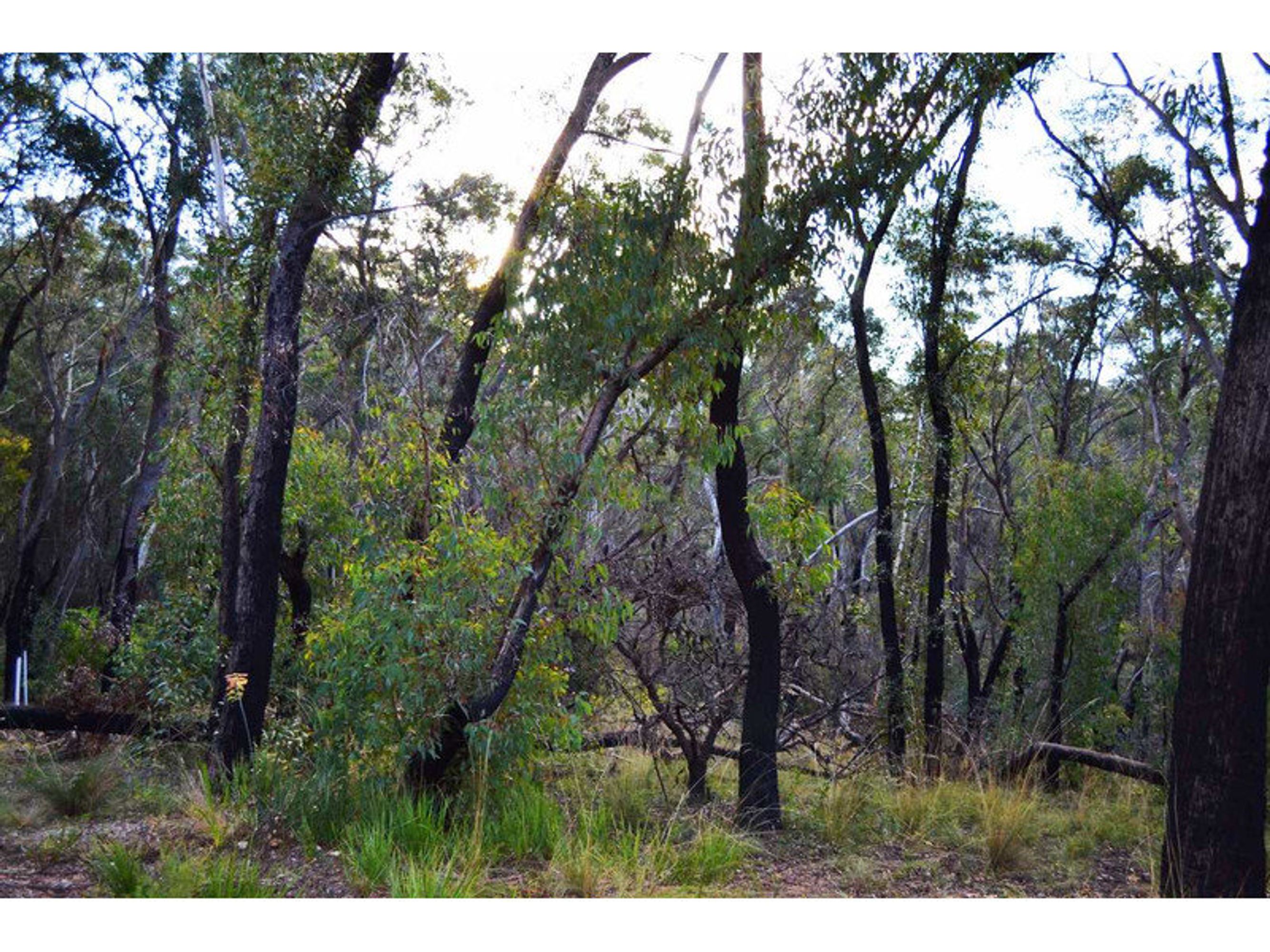 11 Balmoral Road, Mount Victoria - Thumbnail 2