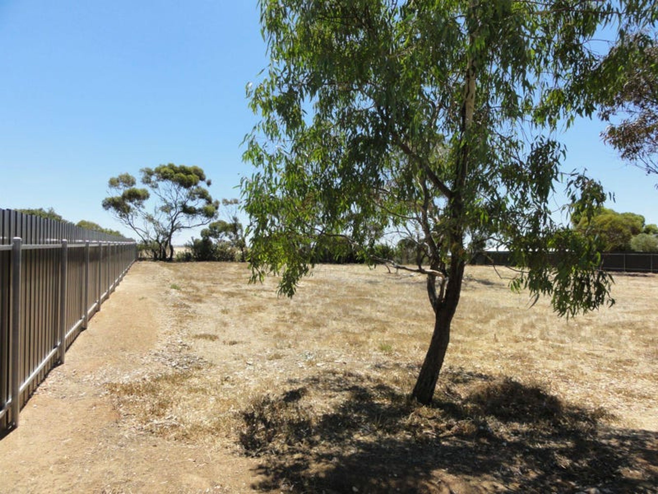 L182 George Avenue, Murray Bridge, SA 5253, Murray Bridge - Thumbnail 4