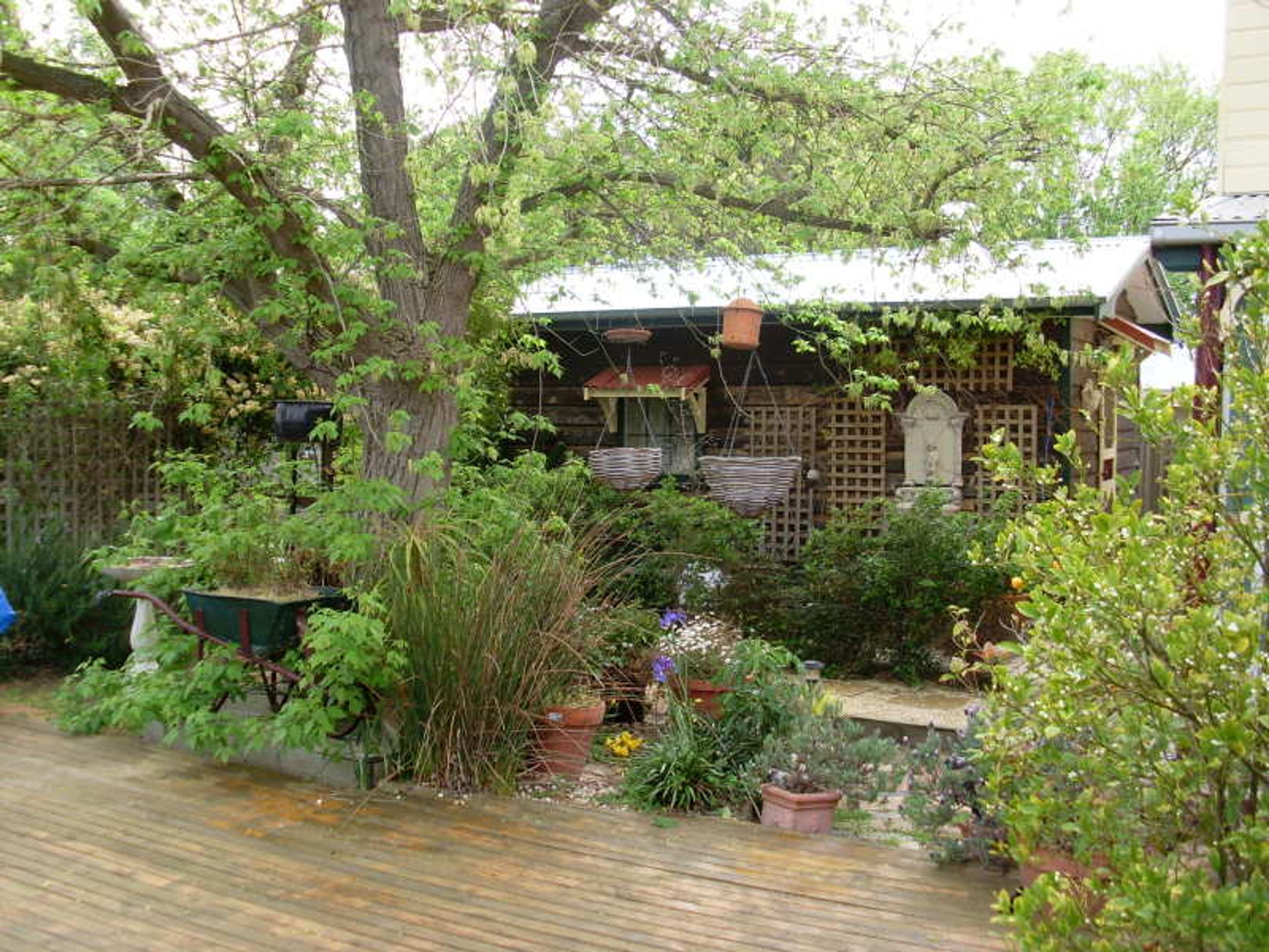 33 Williams Road, Horsham VIC 3400, Horsham - Thumbnail 6