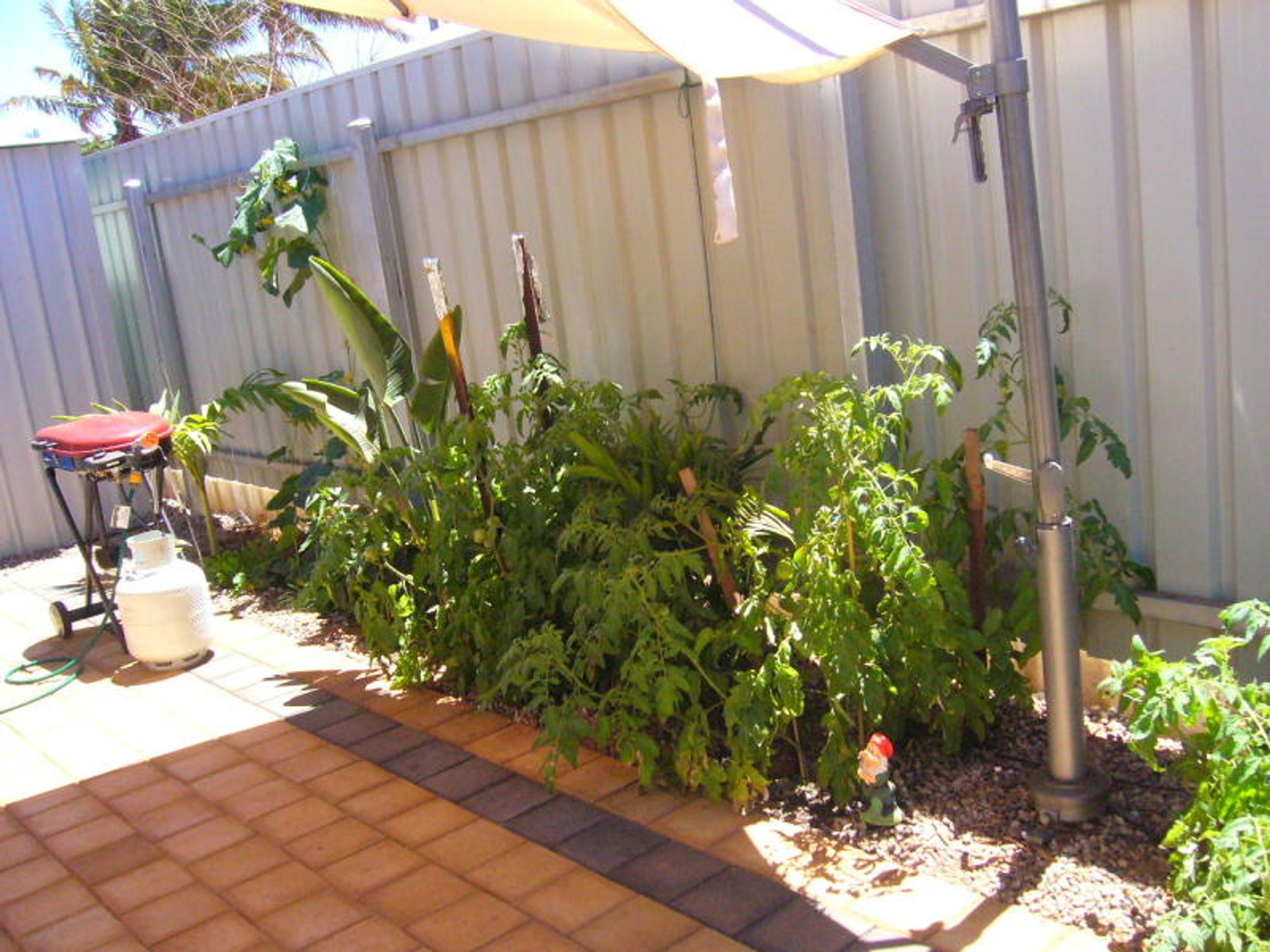 4/37 Morgans Street, Port Hedland, WA 6721, Port Hedland - Thumbnail 3
