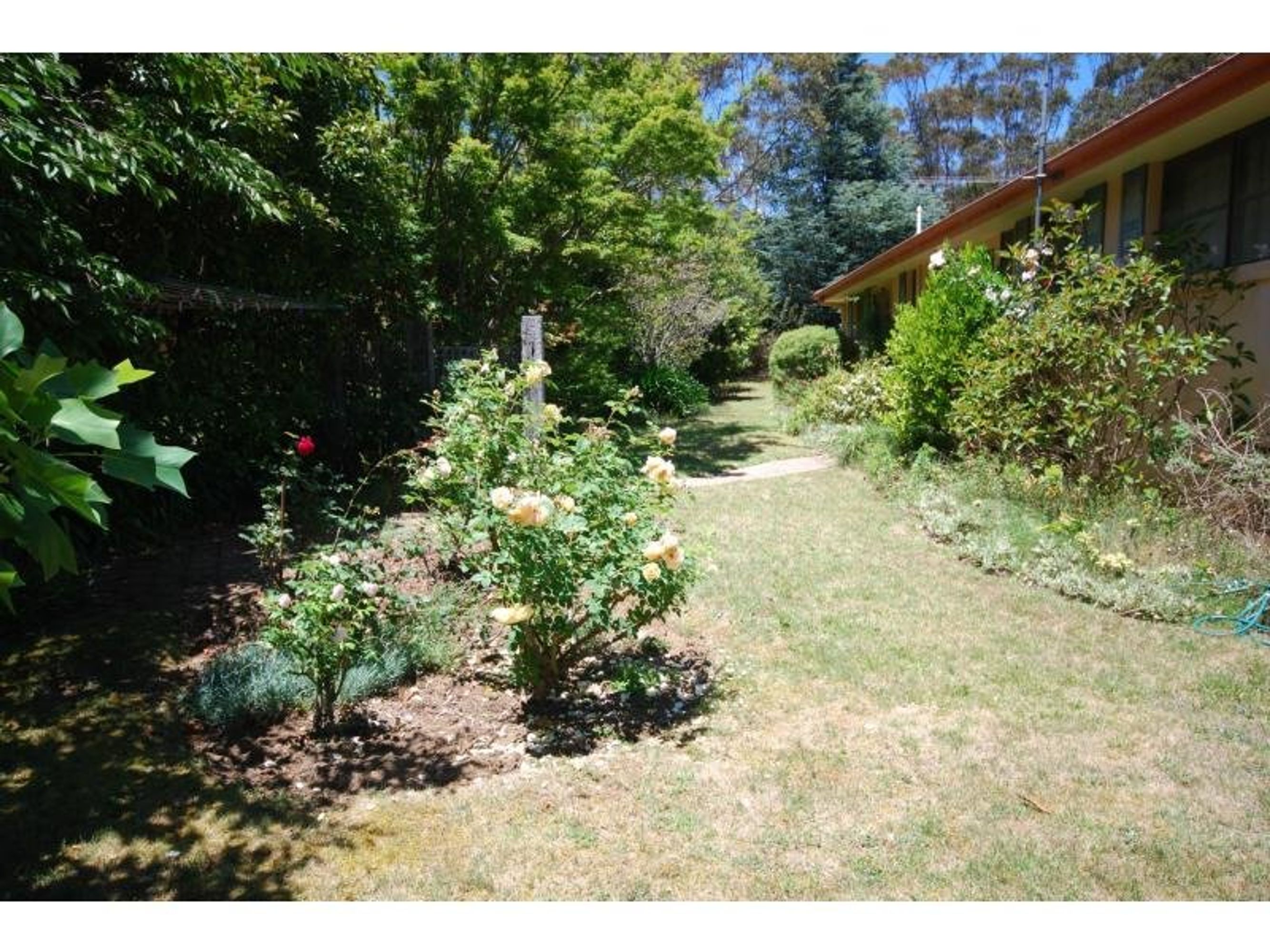 9-11 West Street, Leura - Thumbnail 8