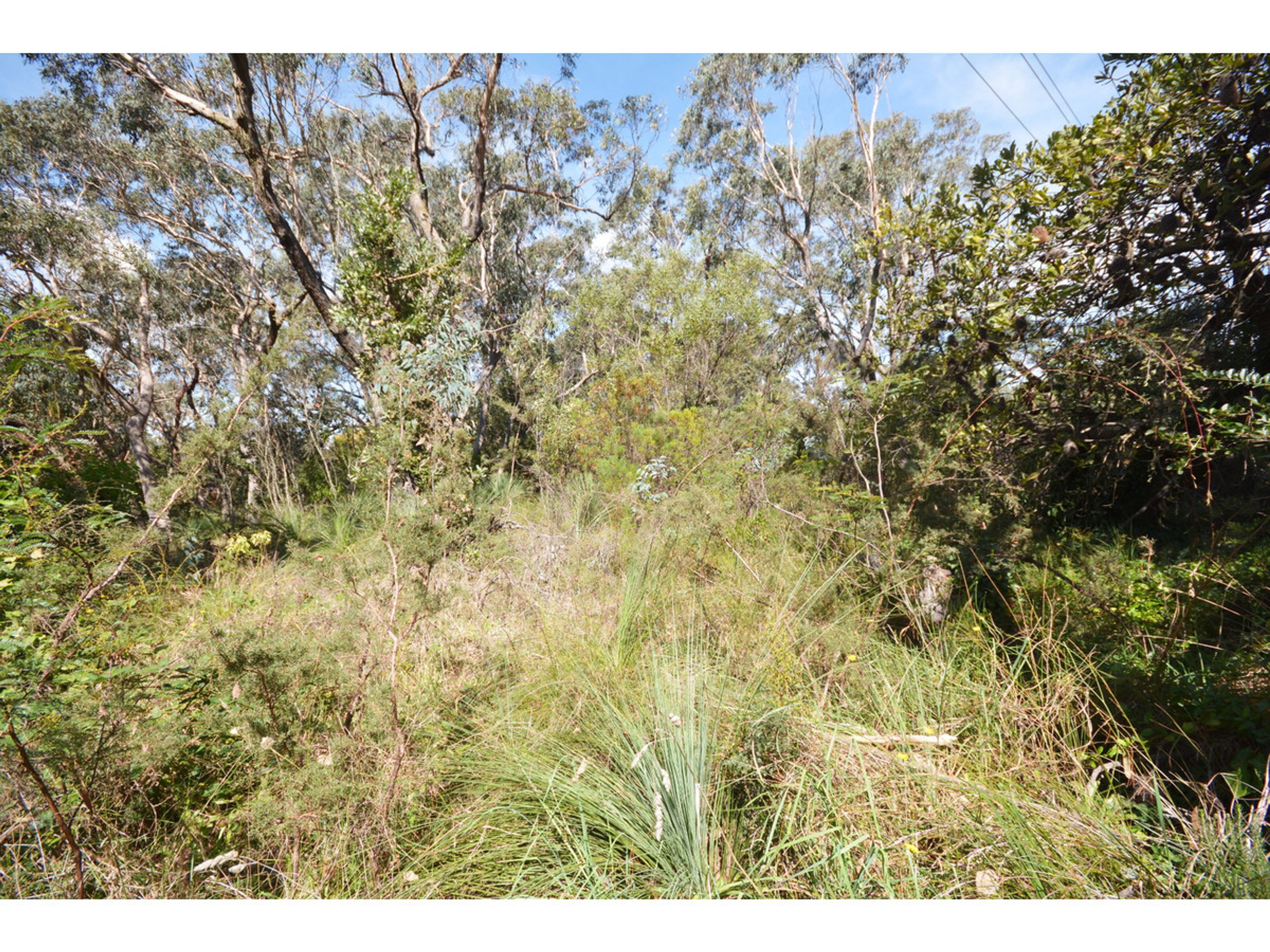 51 Sixth Avenue, Katoomba - Thumbnail 3