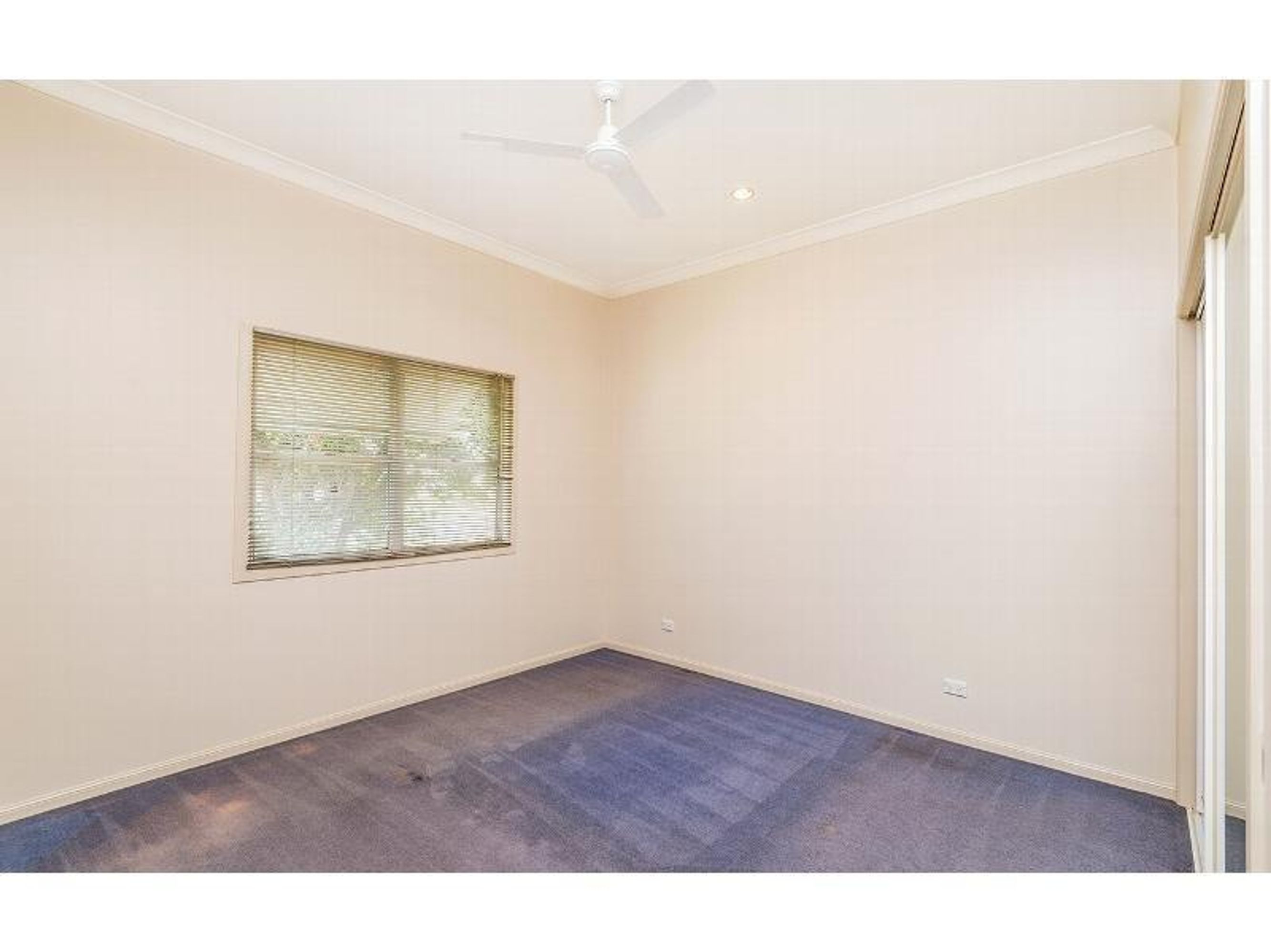 207 Pound Street, Grafton - Thumbnail 8