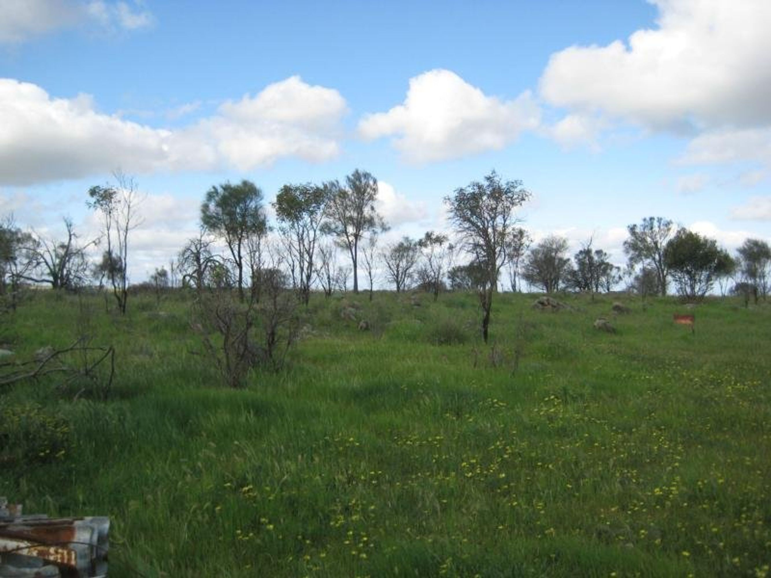 L7/62 Gogel Road, Rockleigh, SA 5254, Rockleigh - Thumbnail 5