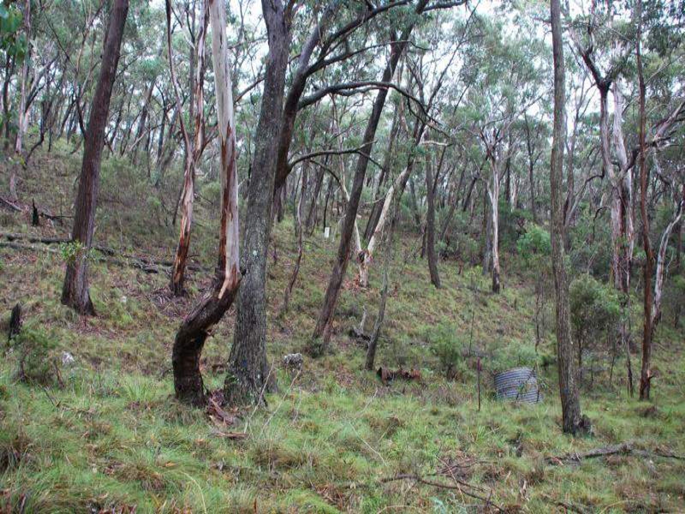 47 Salisbury Ave, Mount Victoria - Thumbnail 2