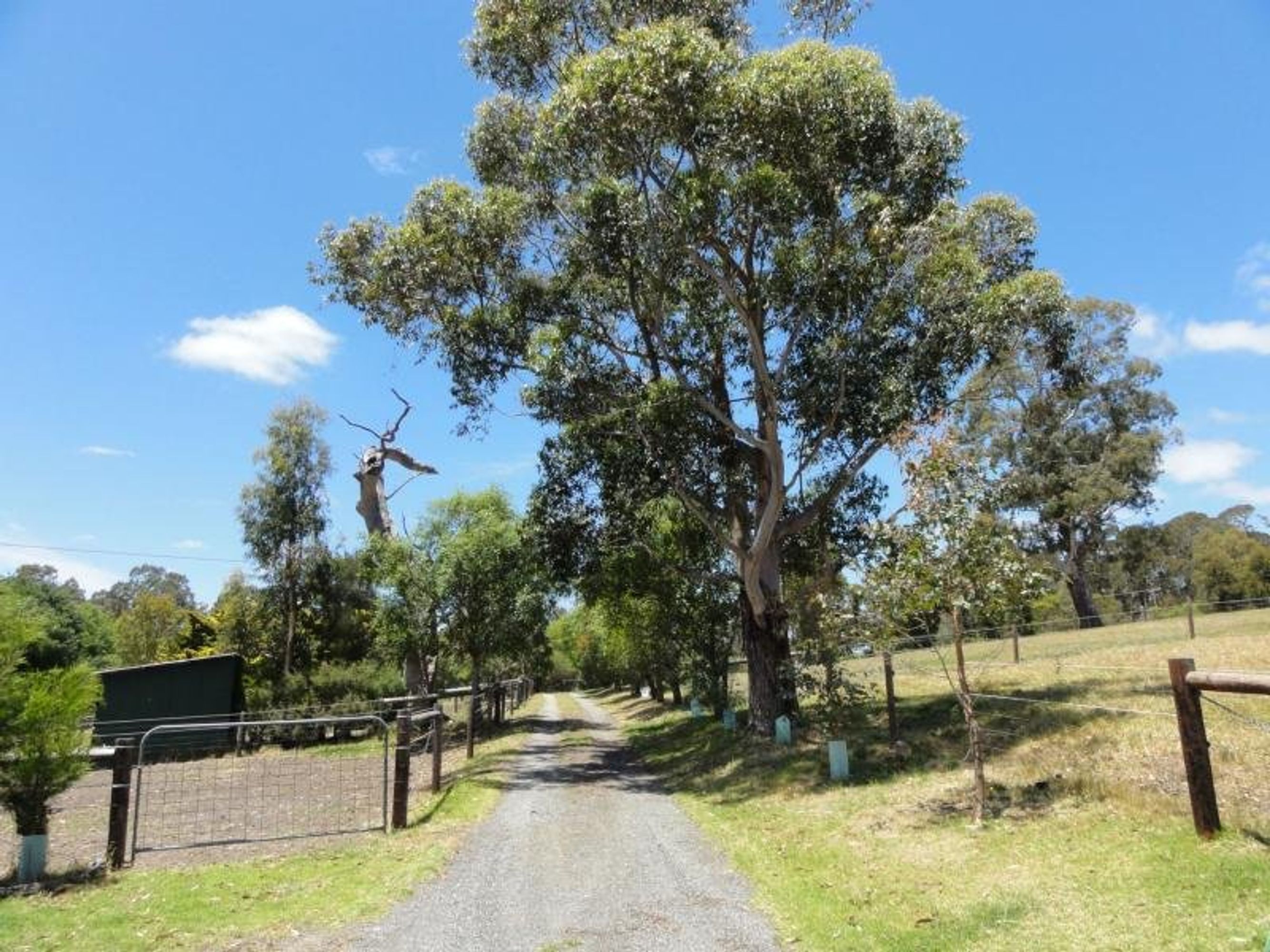 80B Smith Road (Jupiter Creek), Echunga, SA 5153, Echunga - Thumbnail 5