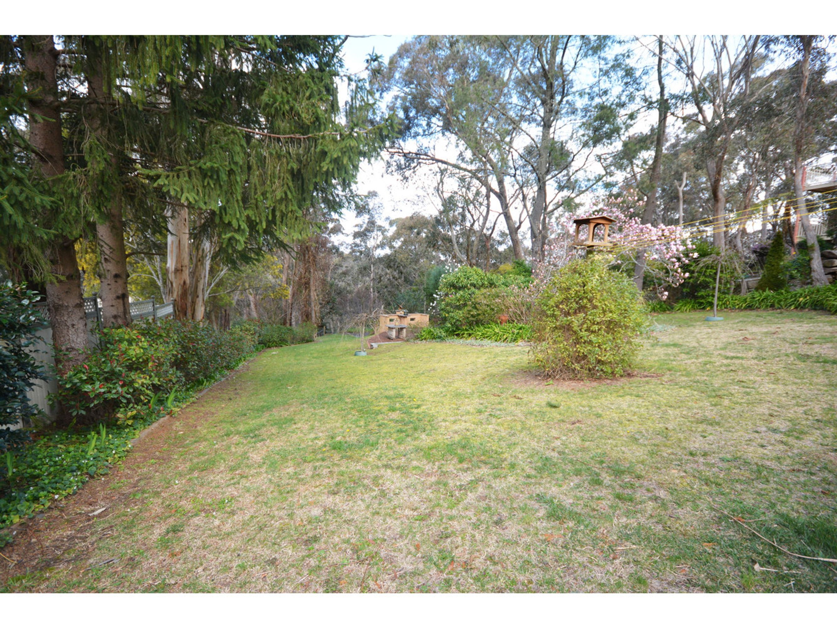 31 Seventh Avenue, Katoomba - Thumbnail 7