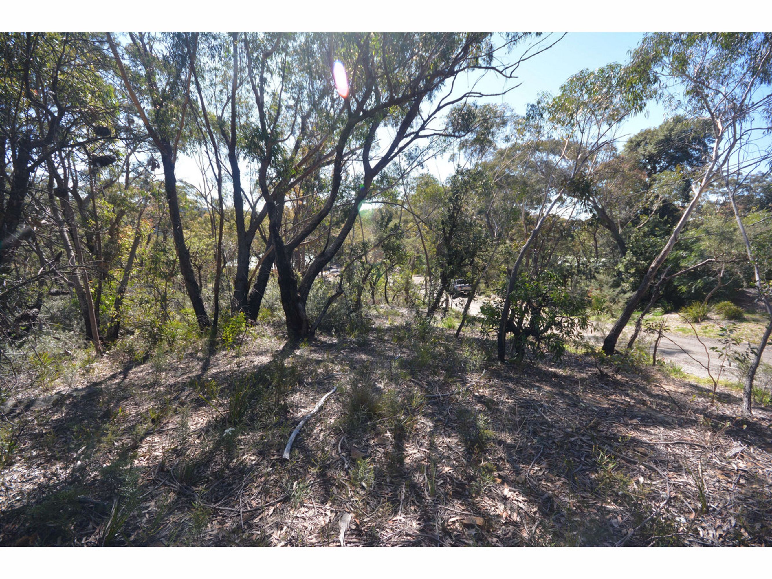 24-26 24-26 Booth Road, Bullaburra - Thumbnail 3