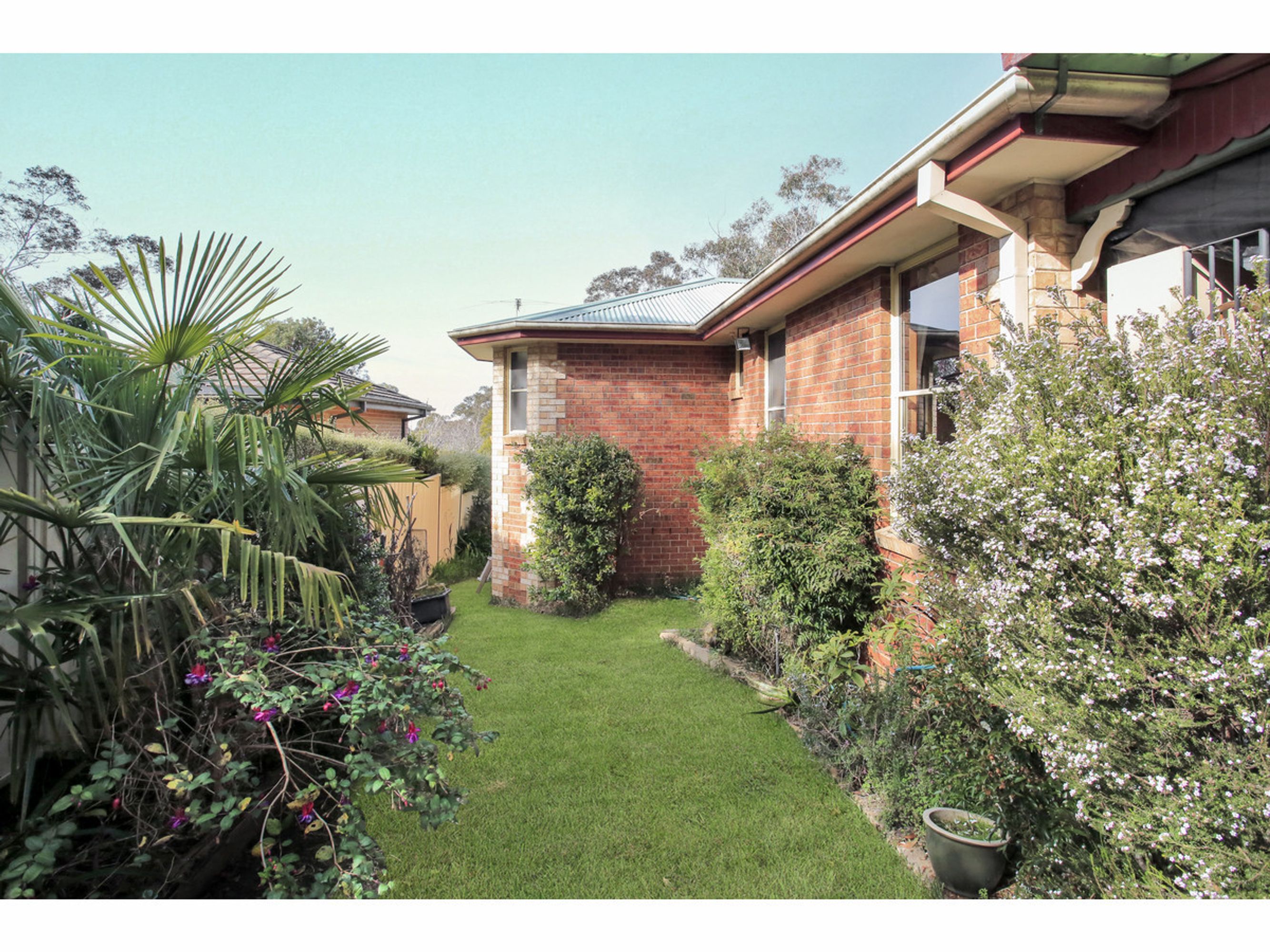 11 Flora Street, Wentworth Falls - Thumbnail 3