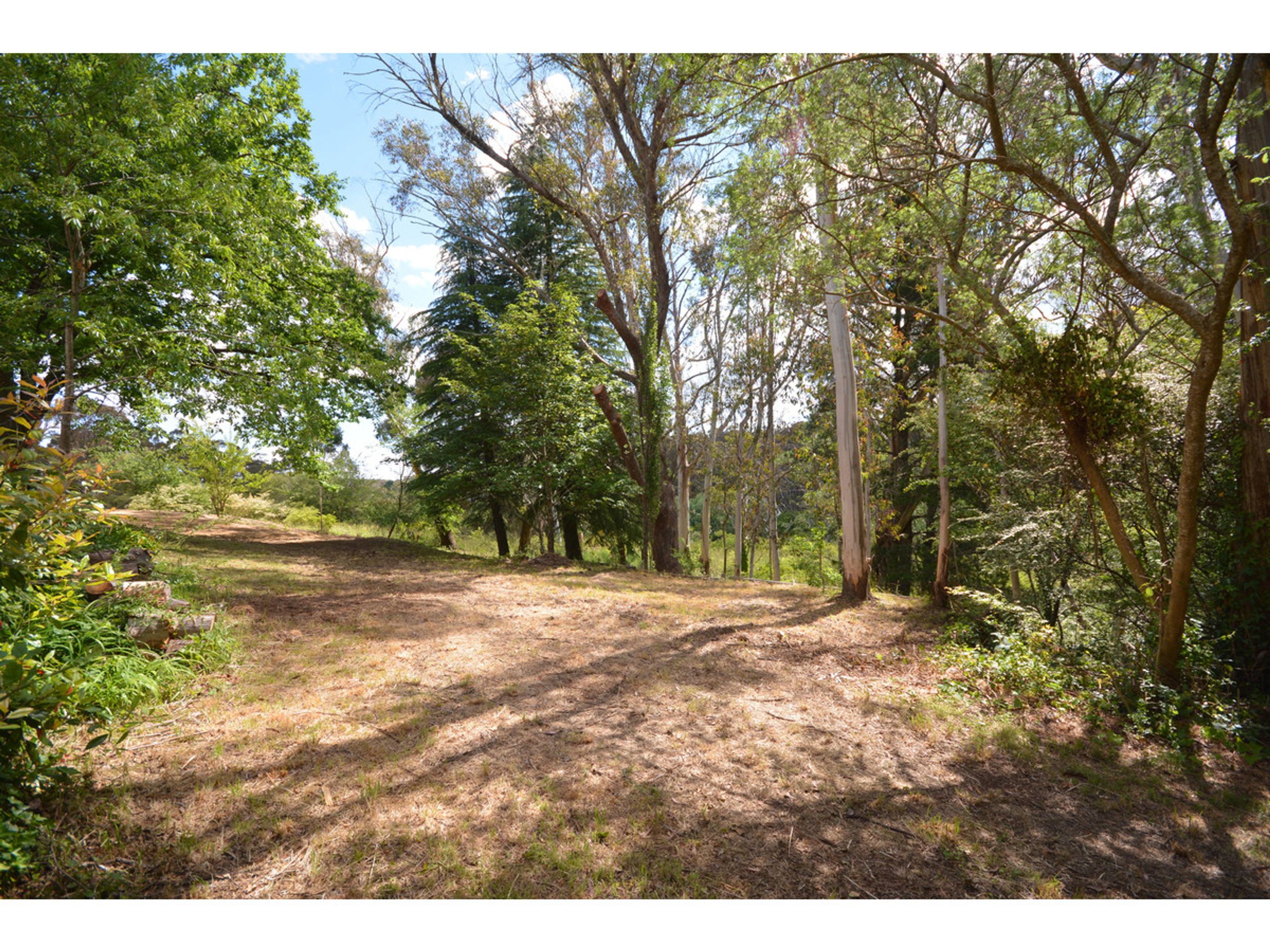 4 Waratah Street, Katoomba - Thumbnail 2