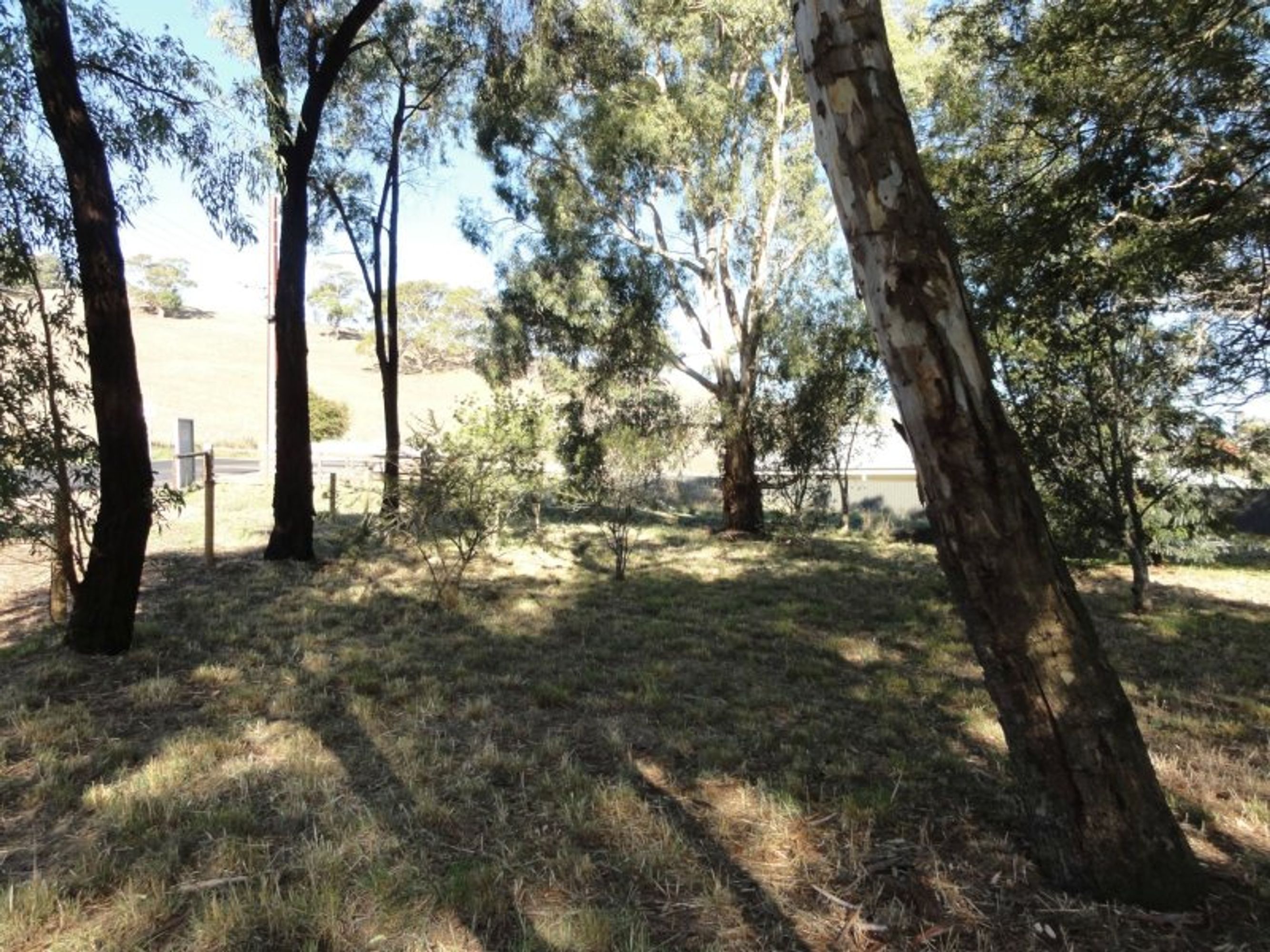 403 Forbidden, Nairne - Thumbnail 4