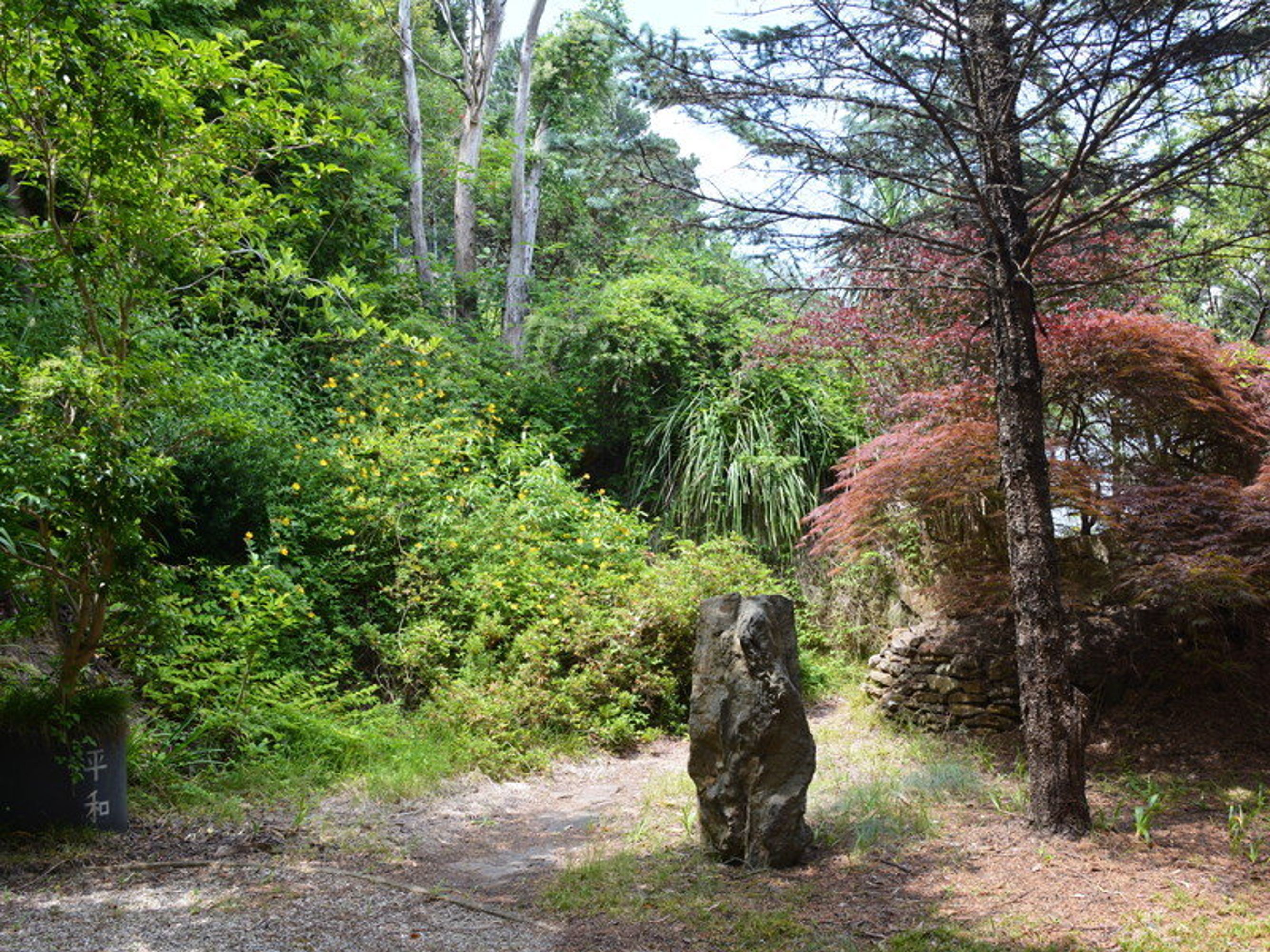 5 Britain Street, Leura - Thumbnail 8