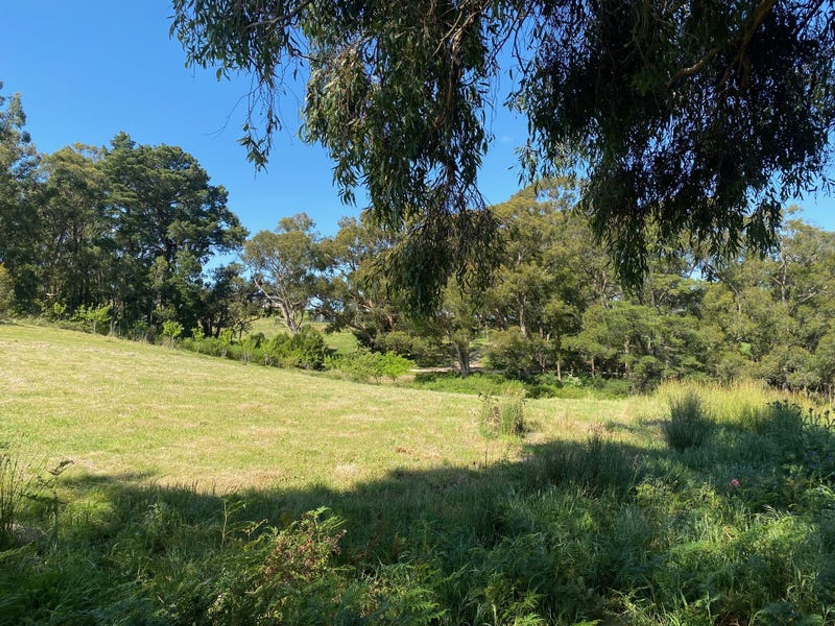 Lot 211 Sharps Road, Carey Gully, SA 5144, Carey Gully - Thumbnail 5