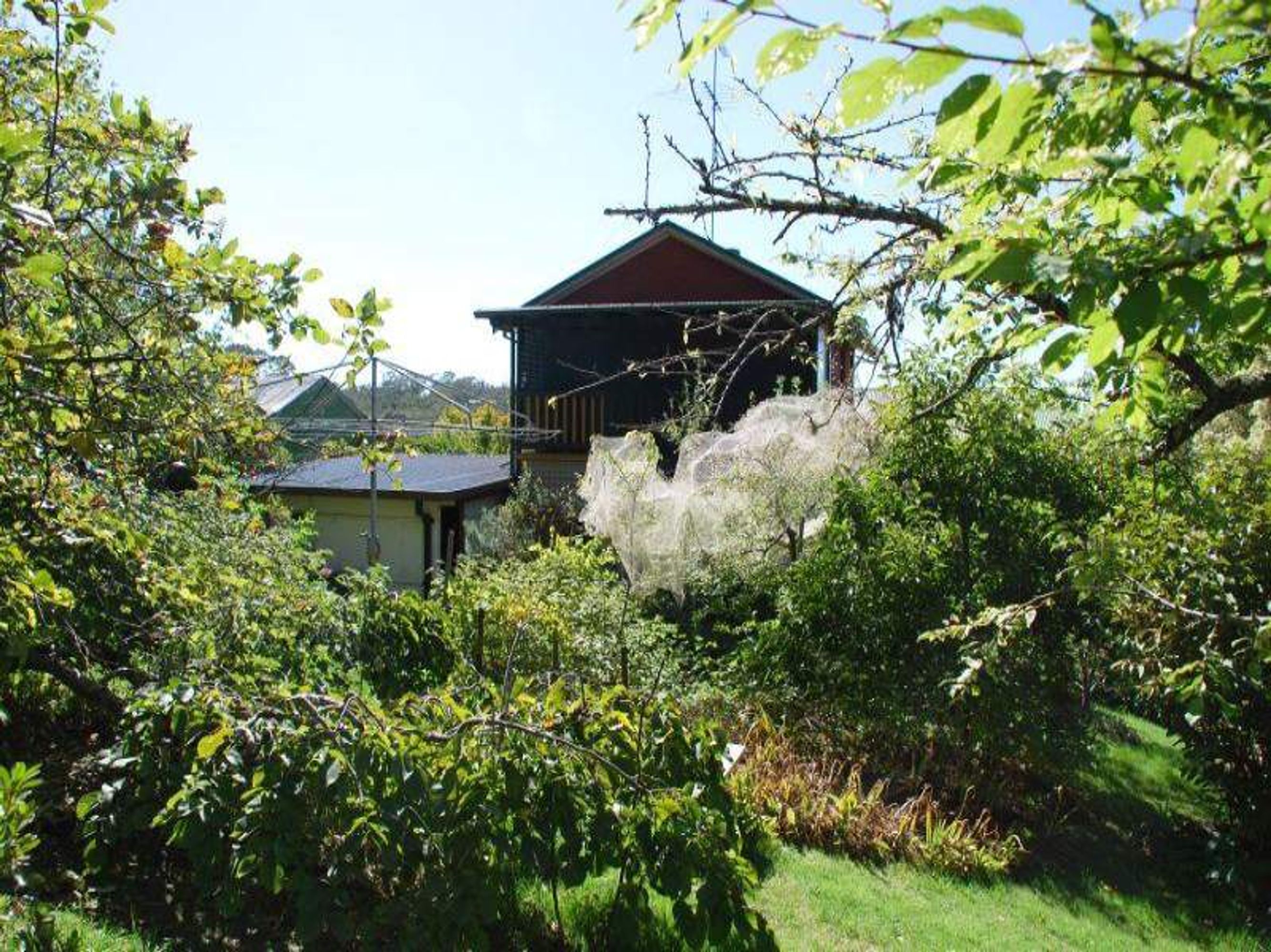 40 York St, Katoomba - Thumbnail 2