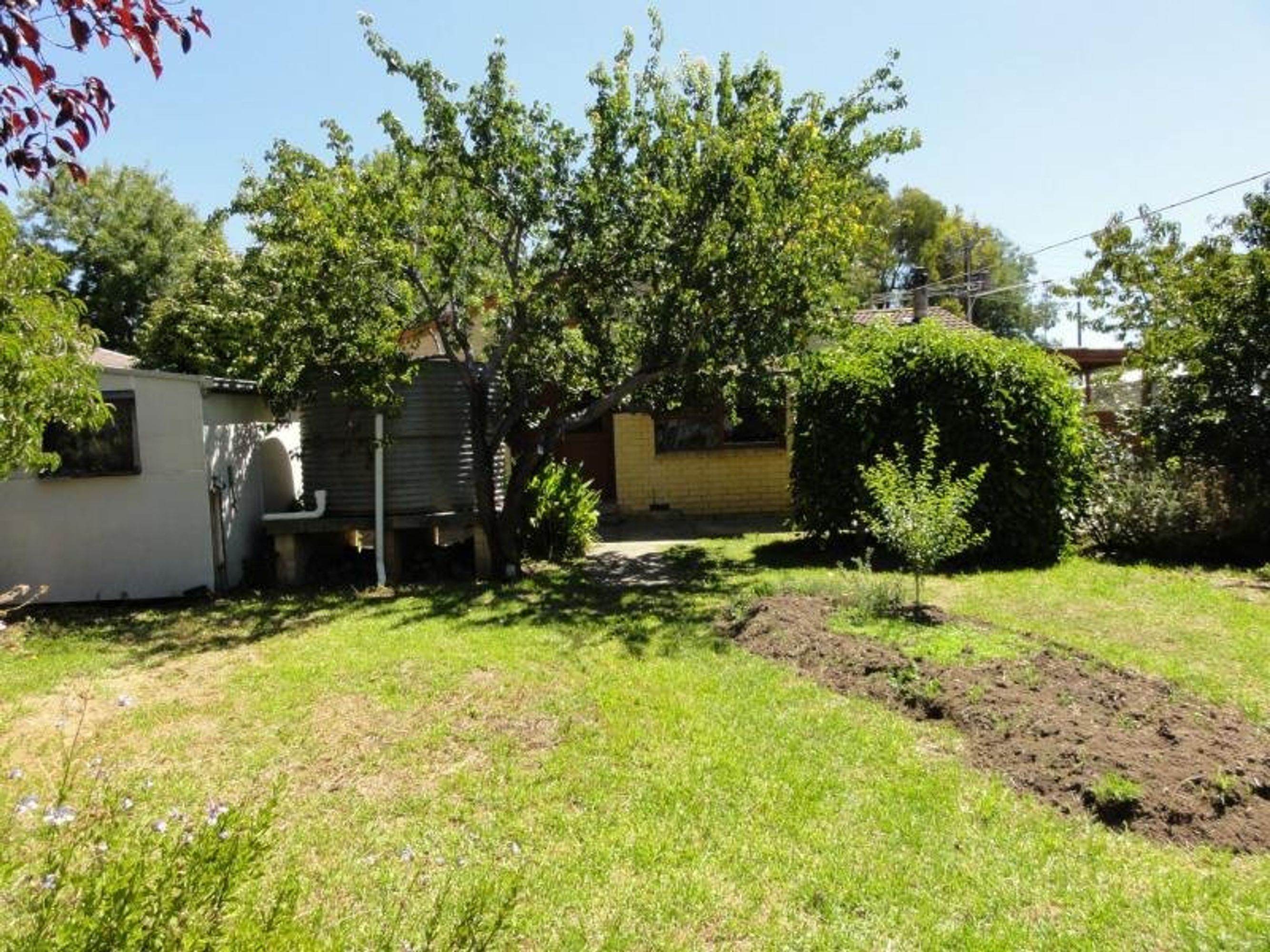1 Barratt Avenue, Mount Barker SA 5251, Mount Barker - Thumbnail 2